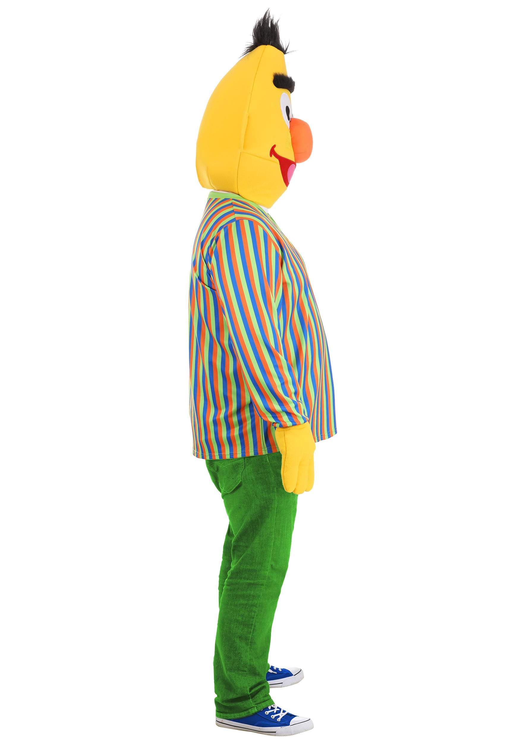 Bert Plus Size Sesame Street Costume