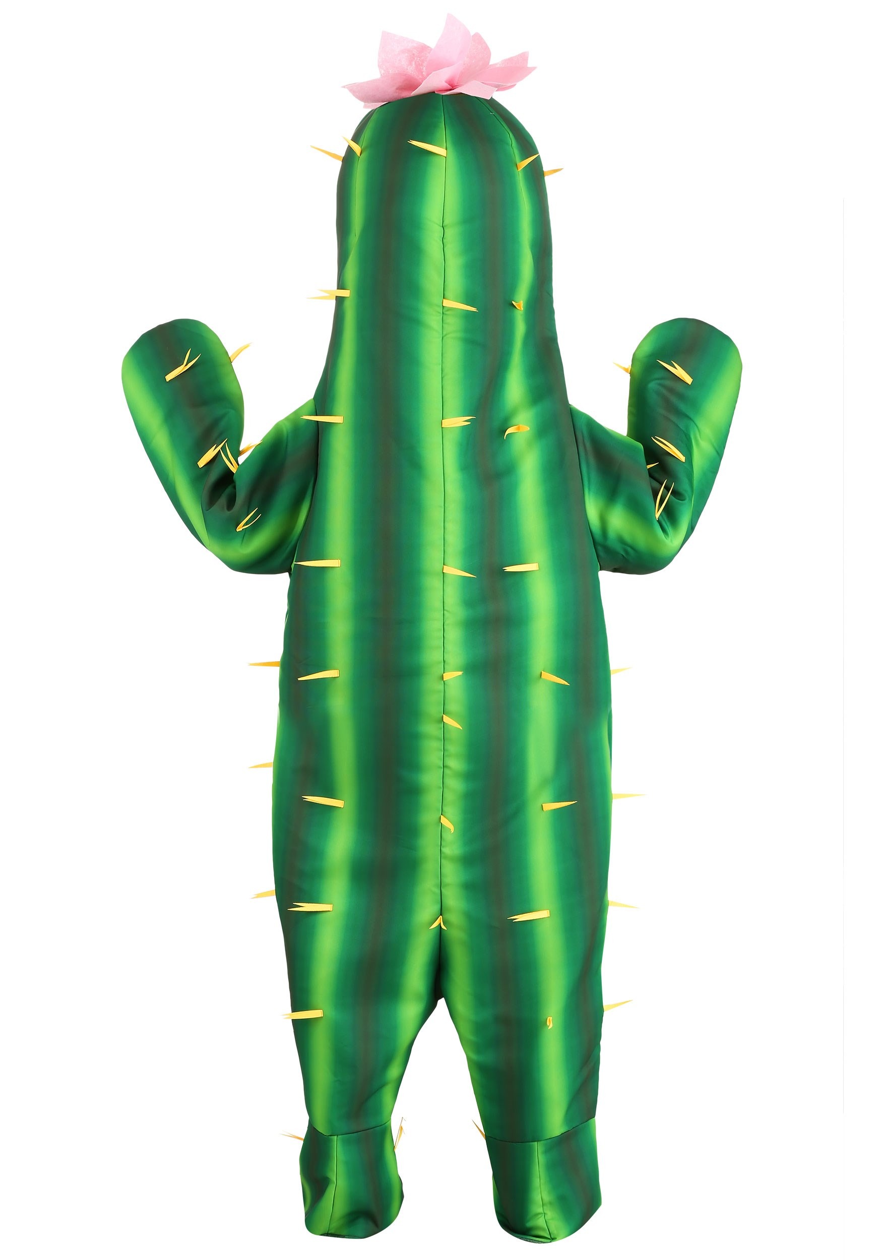Cactus Costume for Kids