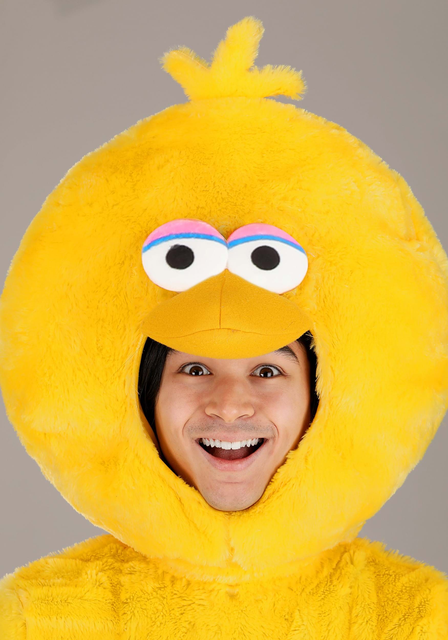 Adult Sesame Street Big Bird Costume 5 Adult Sesame Street Big Bird Costume