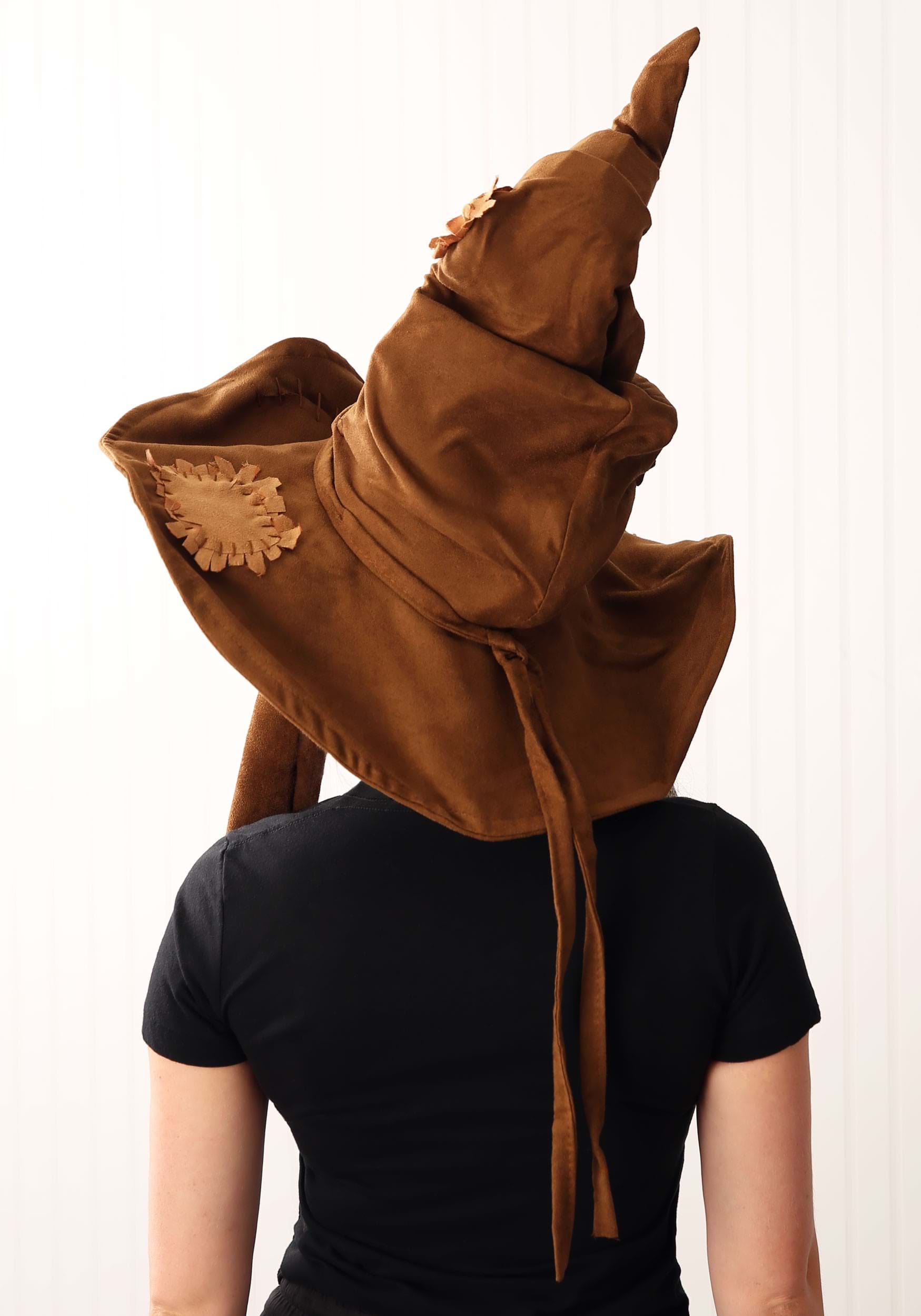 Harry Potter Sorting Hat