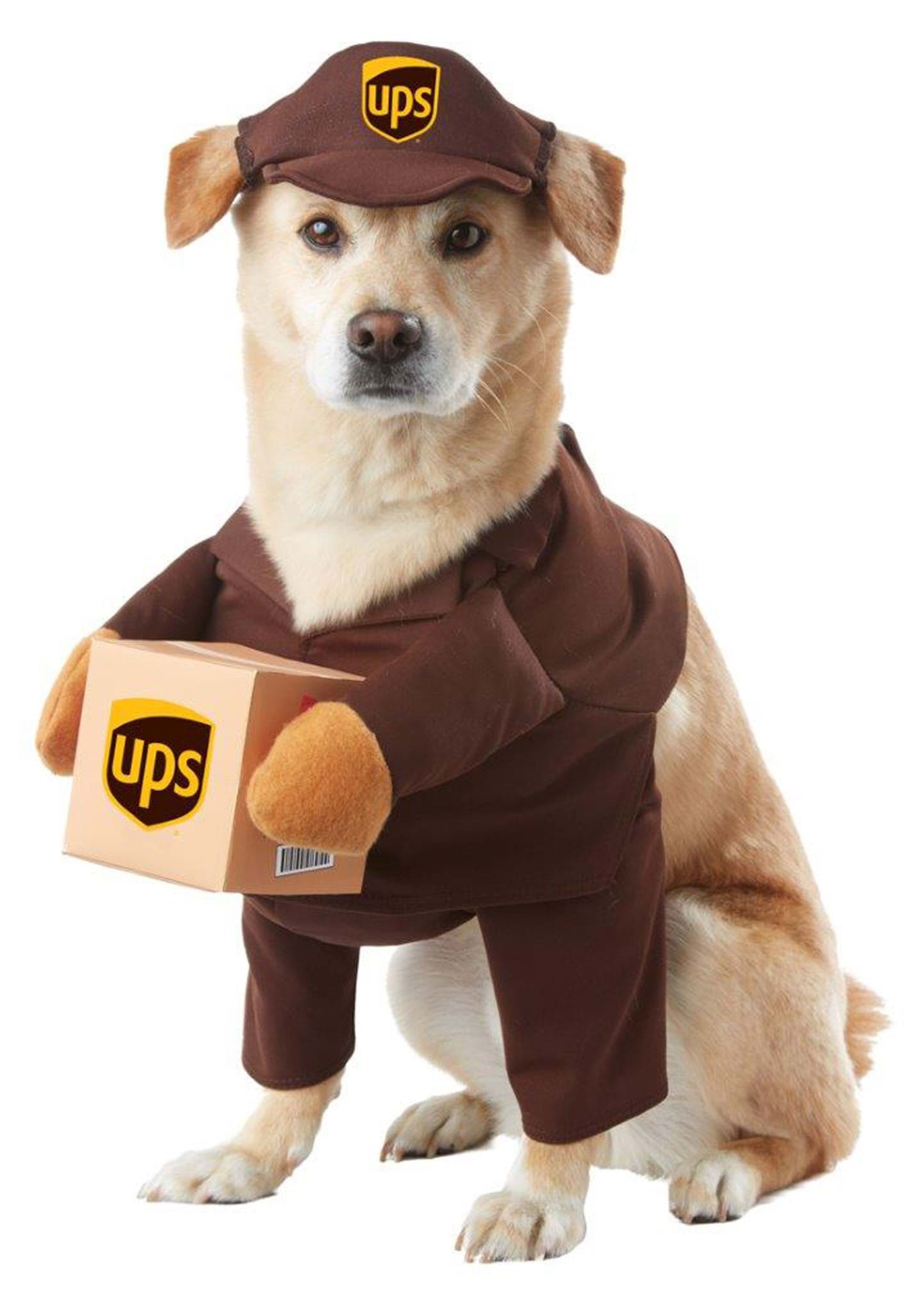 UPS Dog Costume With Hat