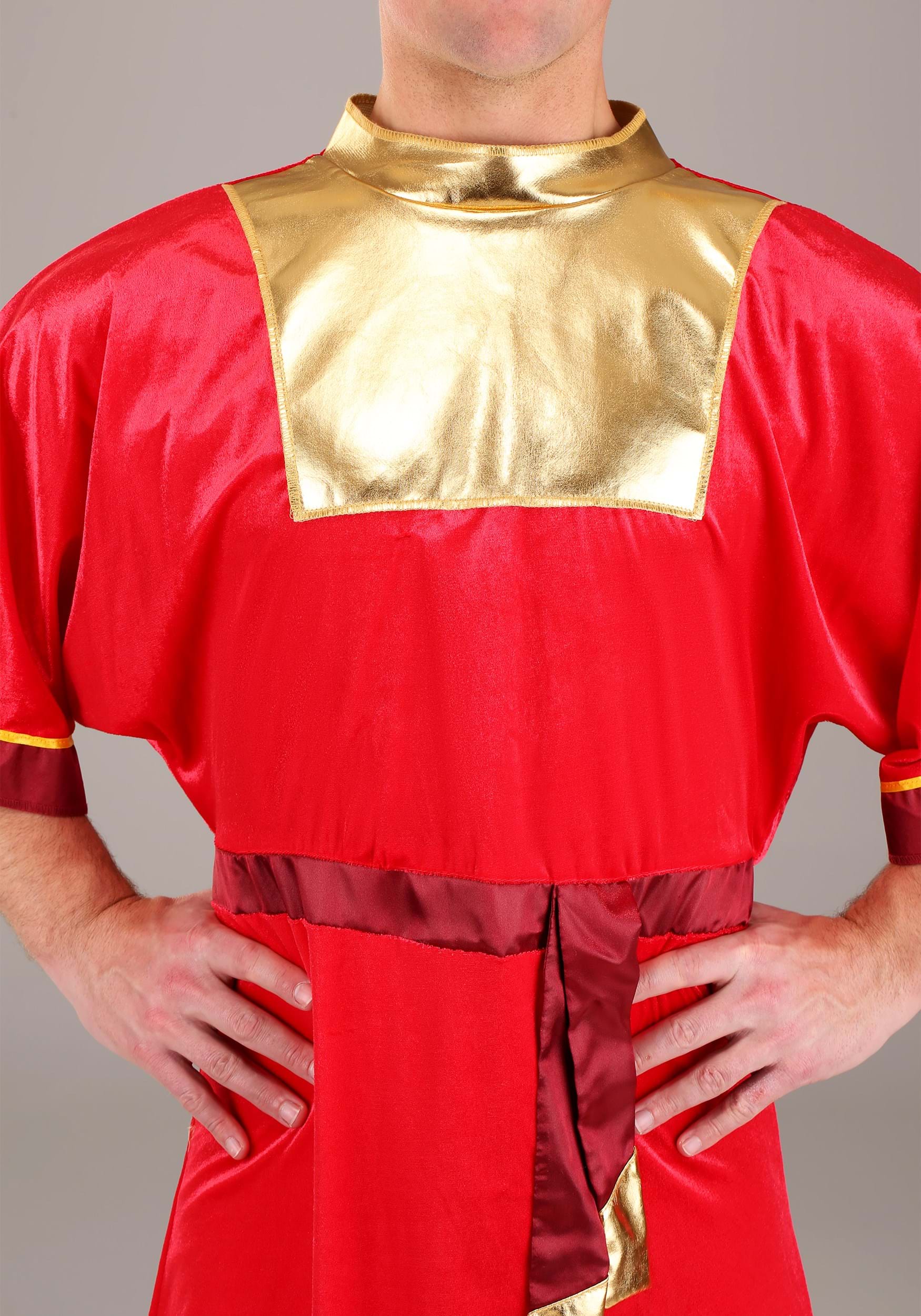 Emperor's New Groove Kuzco Adult Costume