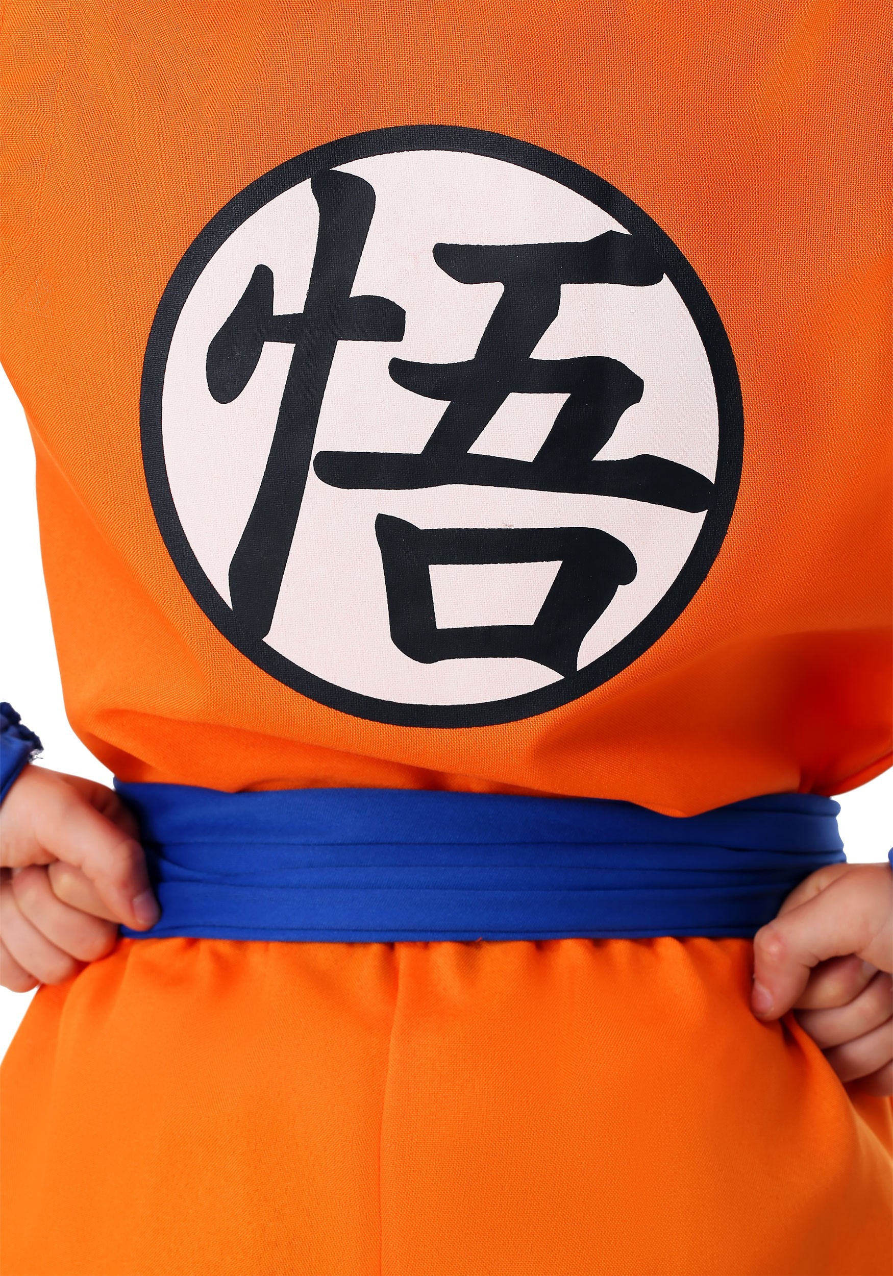 Child DBZ Goku Costume 4 Child DBZ Goku Costume