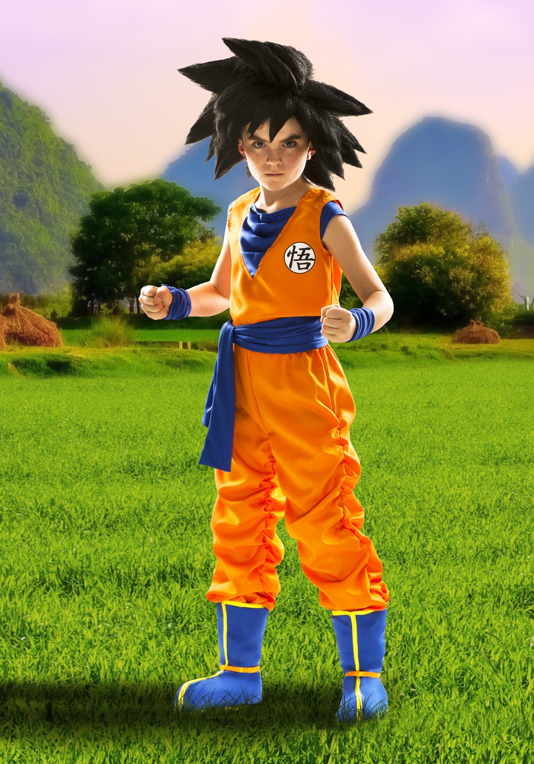 Child DBZ Goku Costume 5 Child DBZ Goku Costume