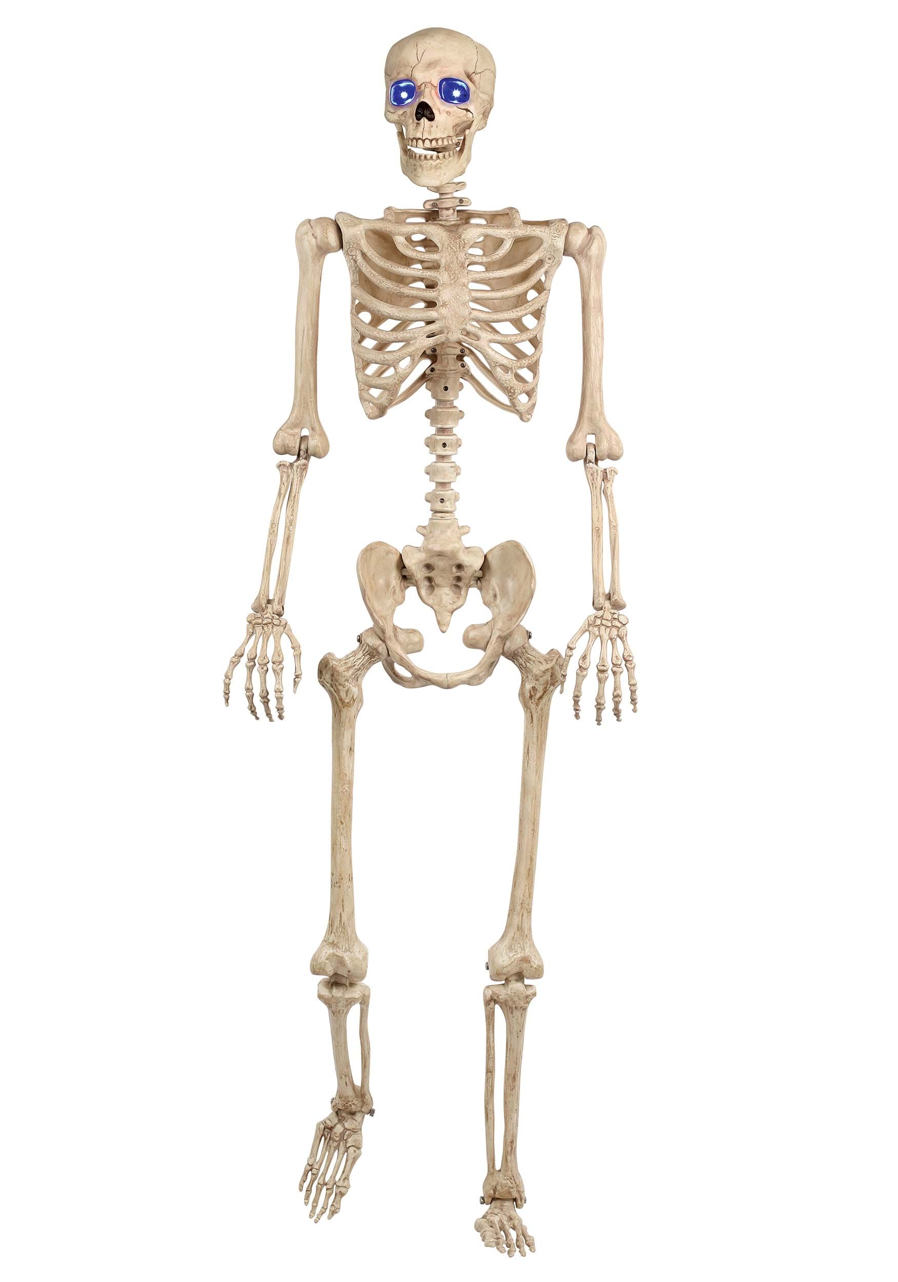 5FT Light Up Blue Eyes Human Skeleton Poseable Halloween Decoration