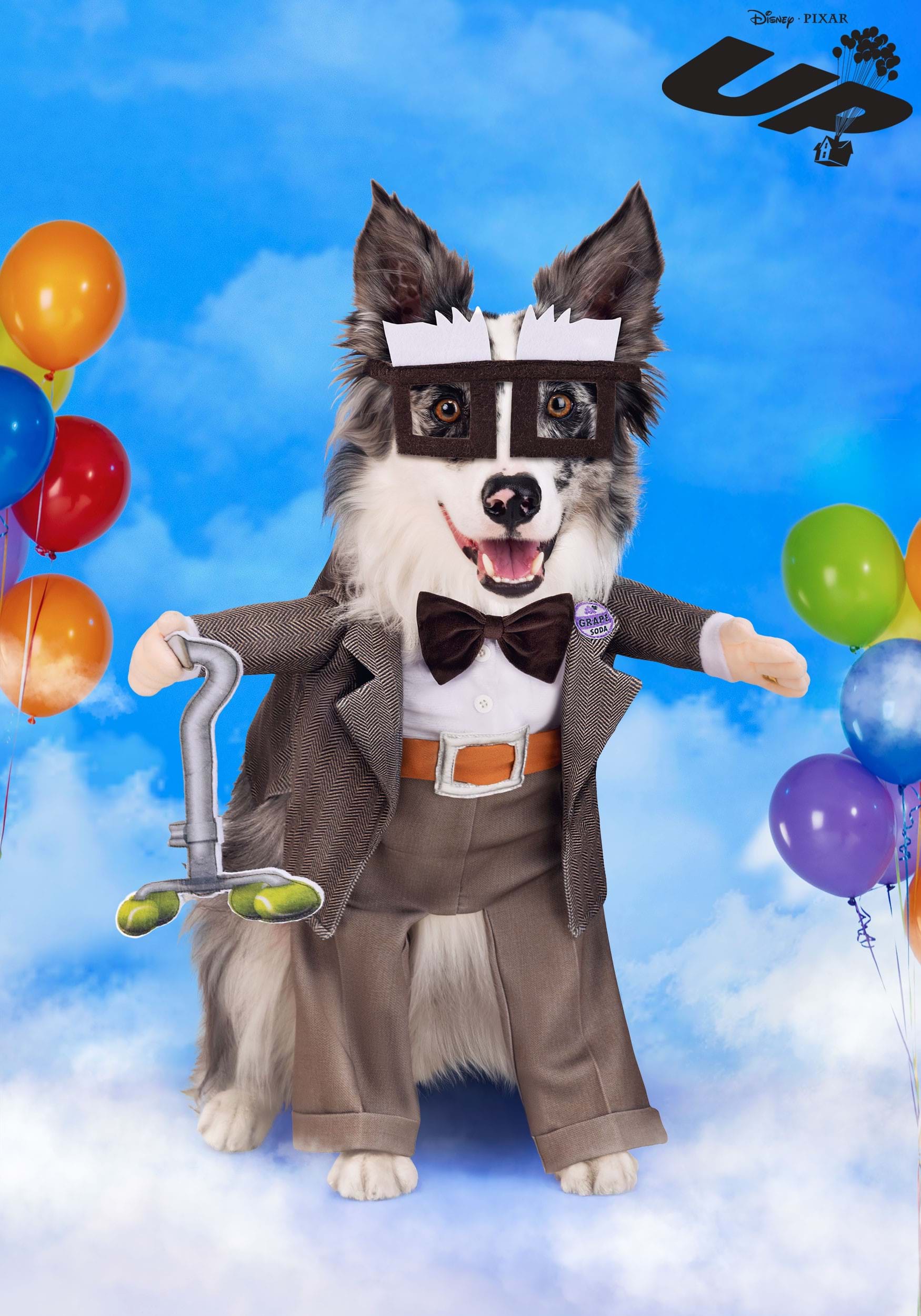 Disney Pixar Up Carl Pet Costume