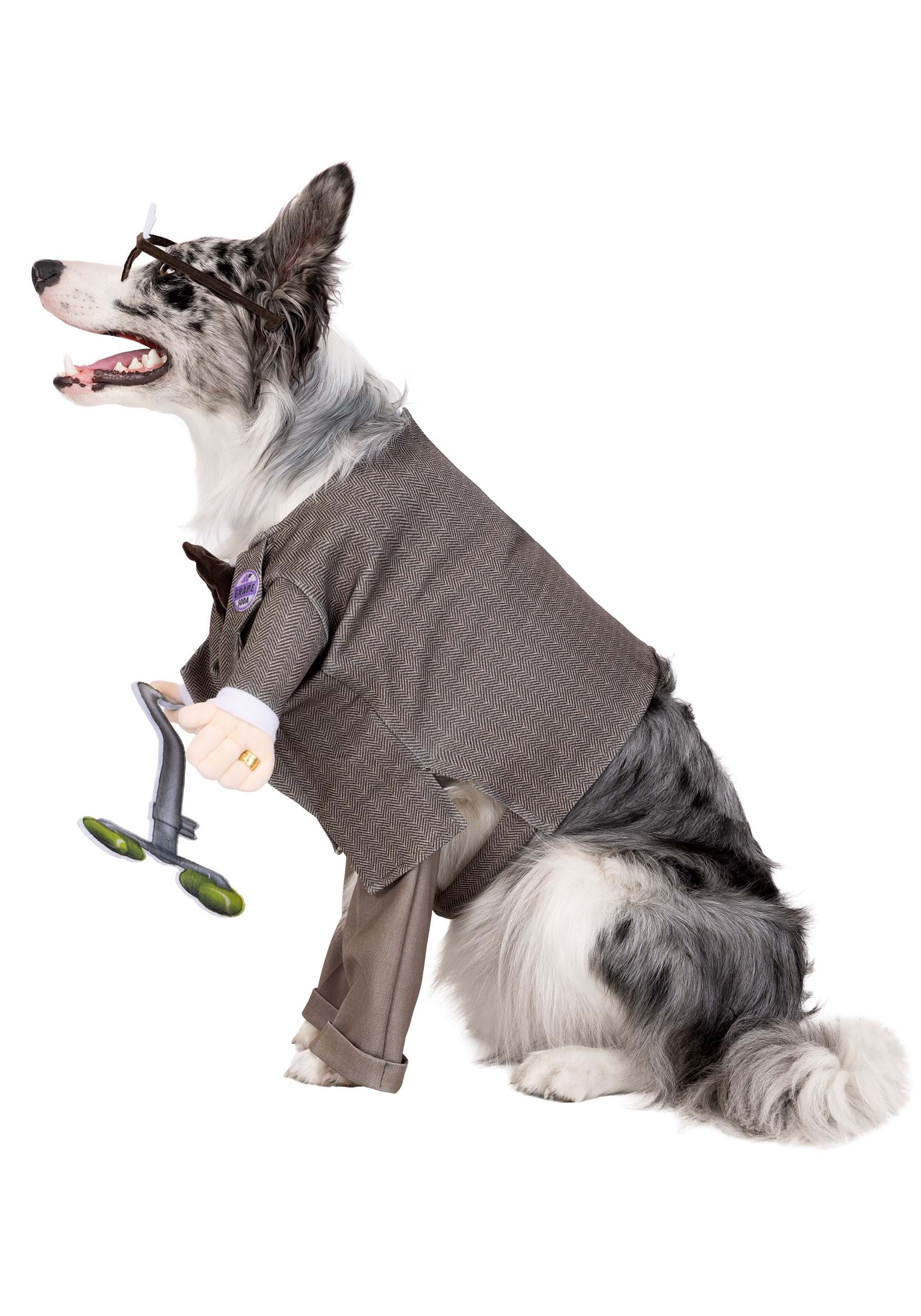 Disney Pixar Up Carl Pet Costume