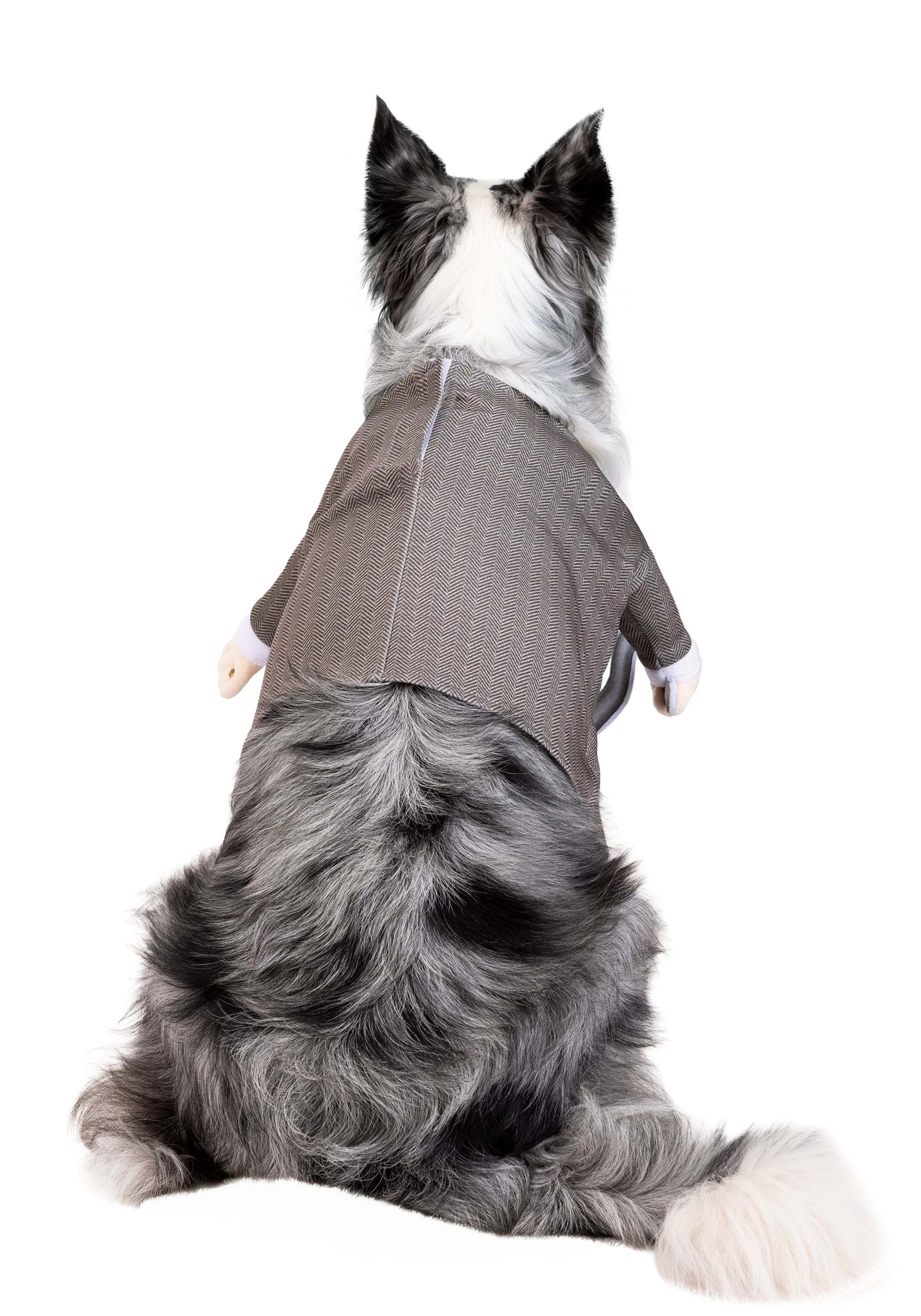 Disney Pixar Up Carl Pet Costume