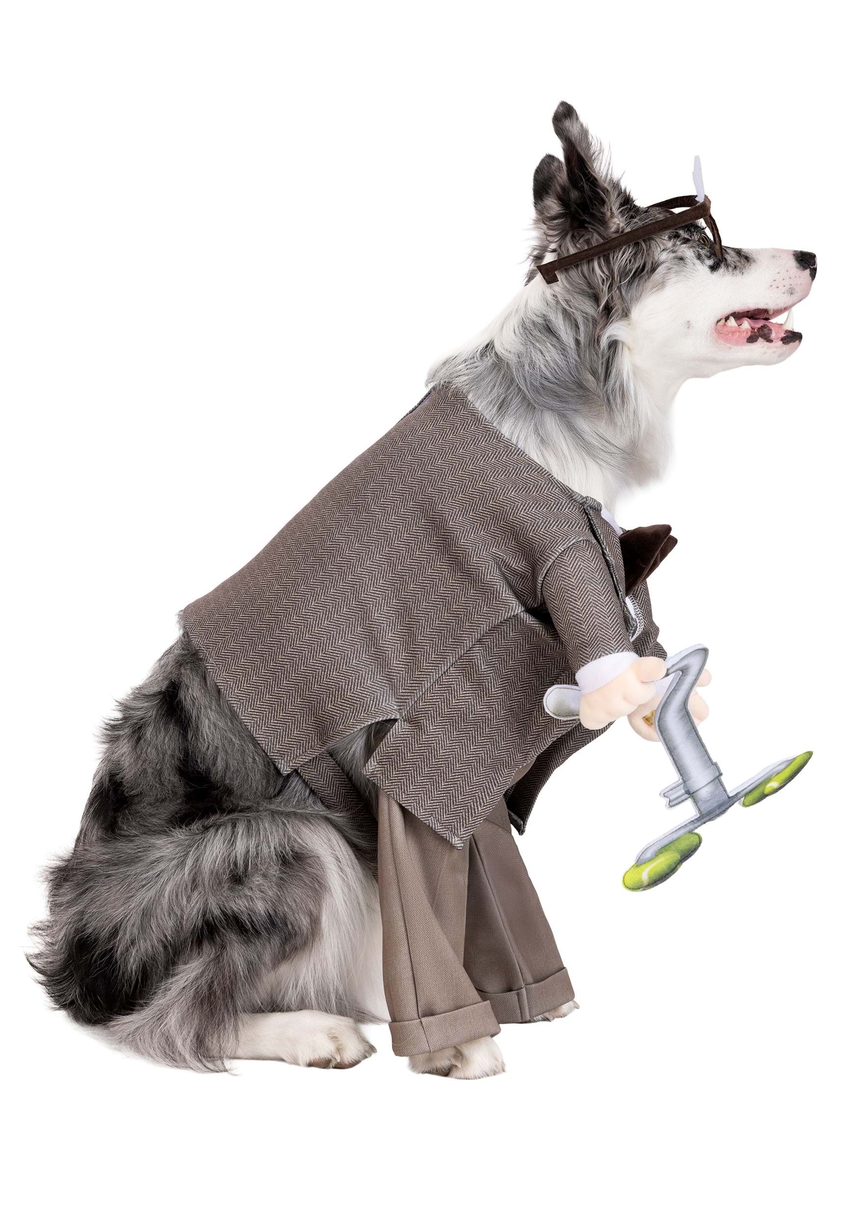 Disney Pixar Up Carl Pet Costume