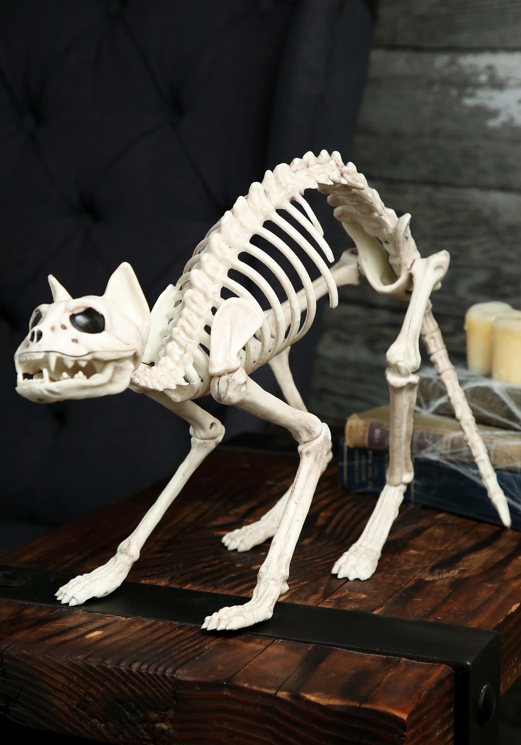 10.5-Inch Cat Bones Skeleton Decoration