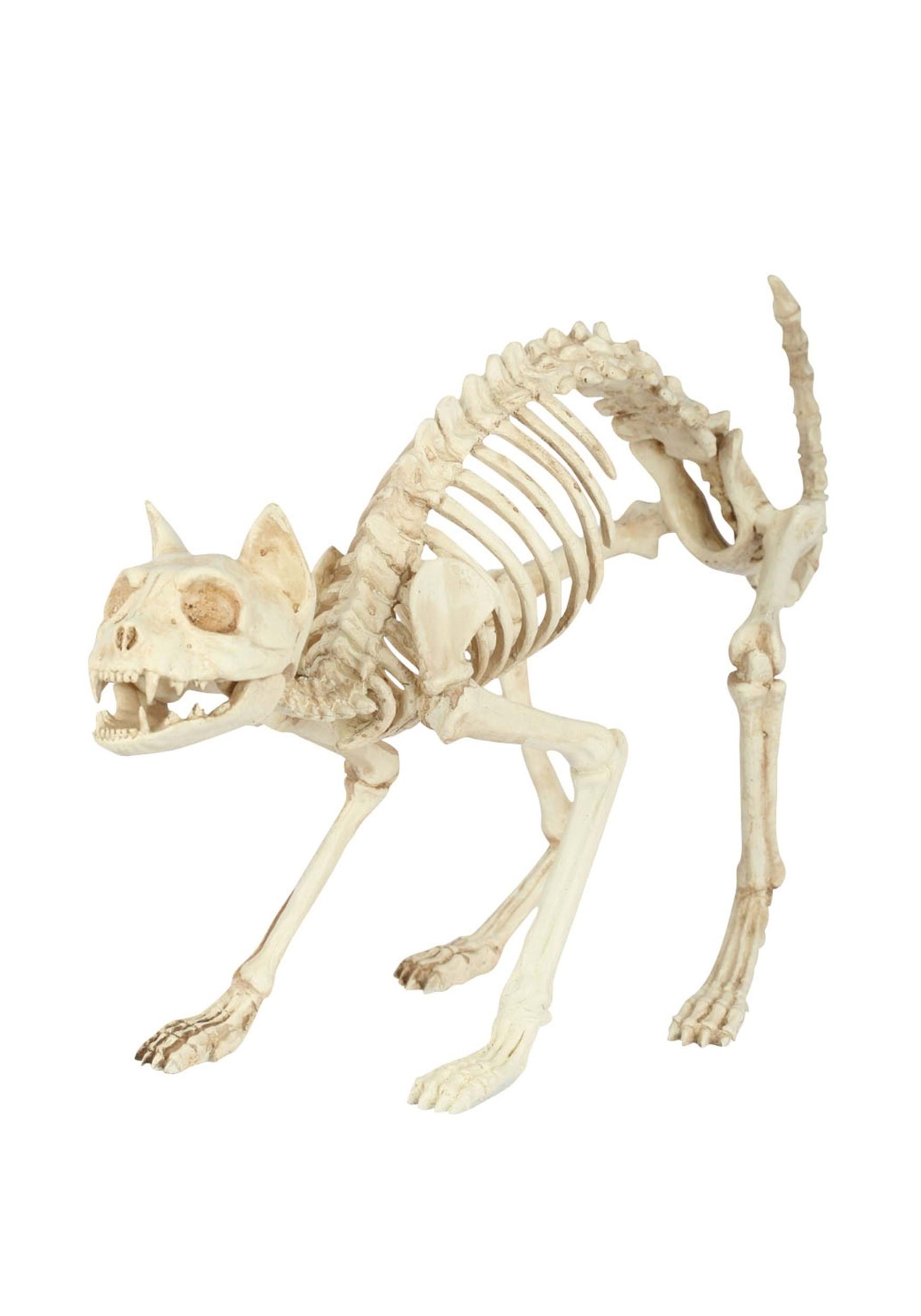 10.5-Inch Cat Bones Skeleton Decoration