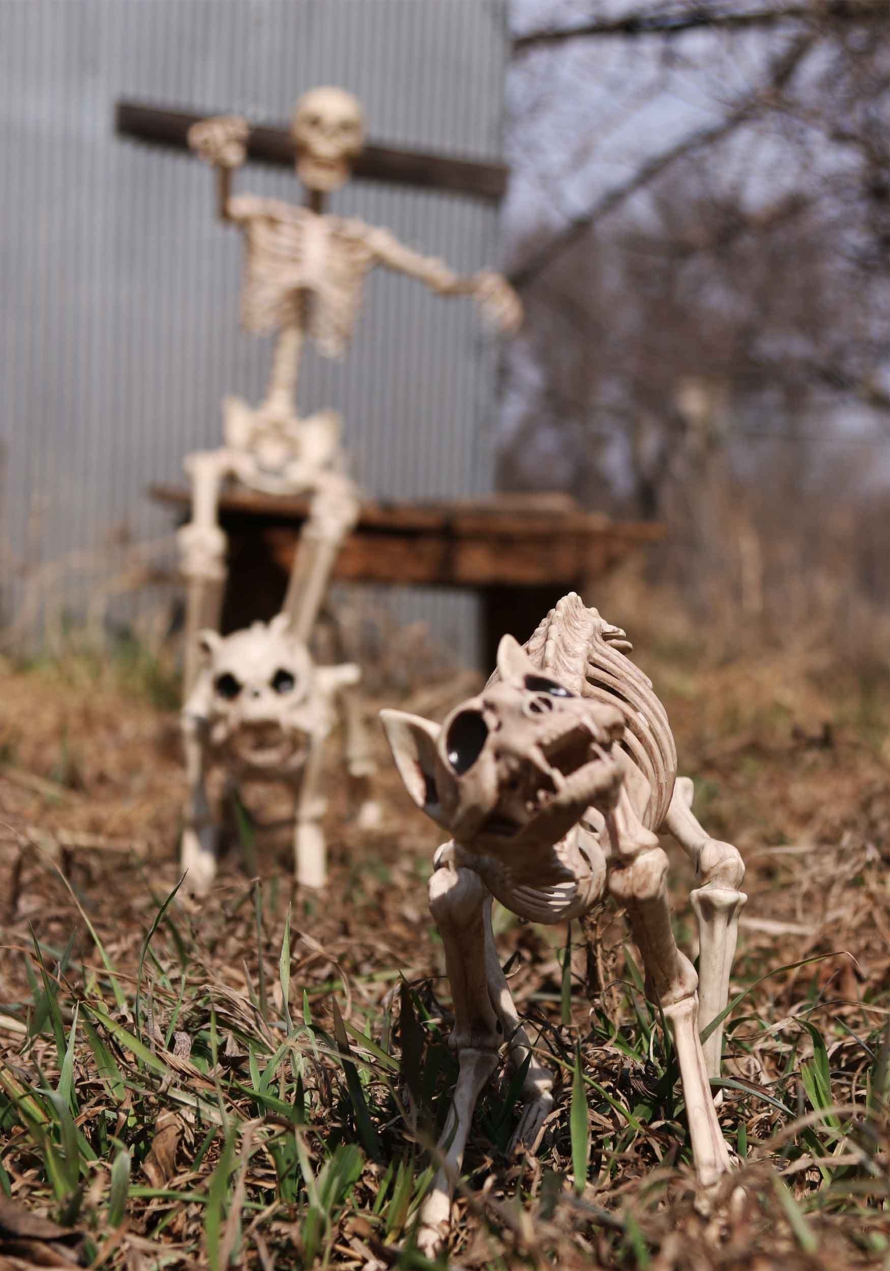 10.5-Inch Cat Bones Skeleton Decoration 3 10.5-Inch Cat Bones Skeleton Decoration