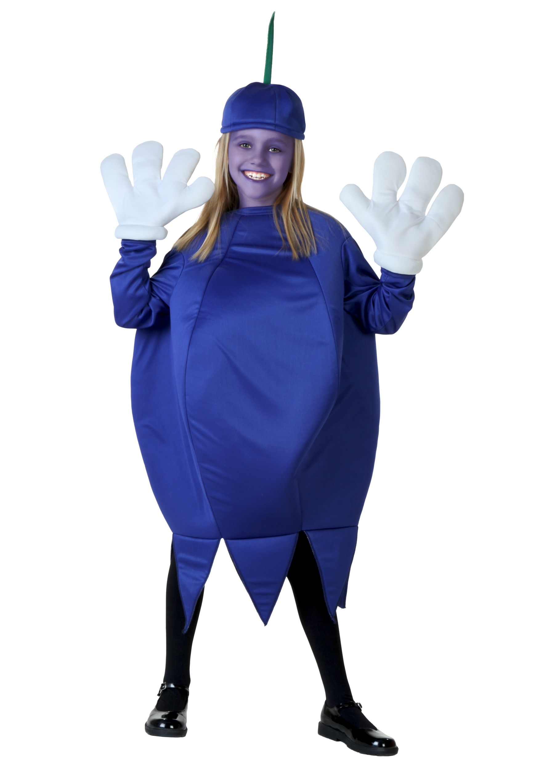 Kid's Blueberry Costume