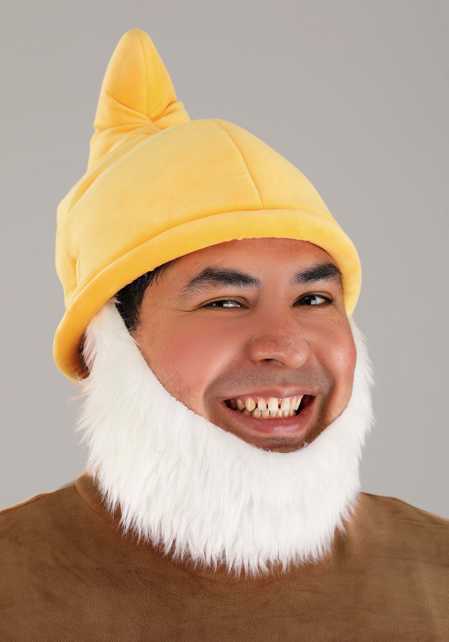 Disney Plus Size Snow White Happy Dwarf Costume