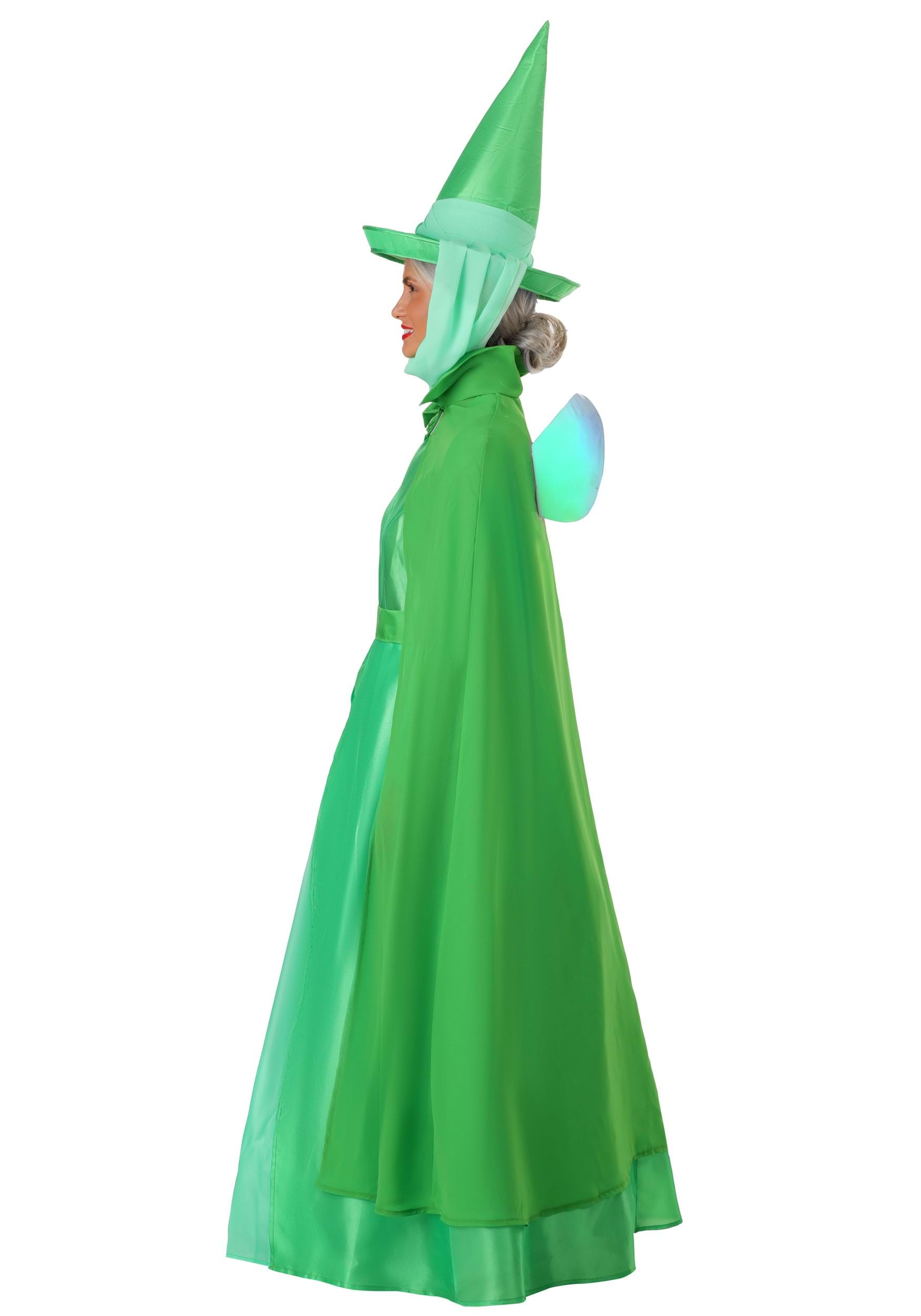 Women's Disney Sleeping Beauty Fauna Costume
