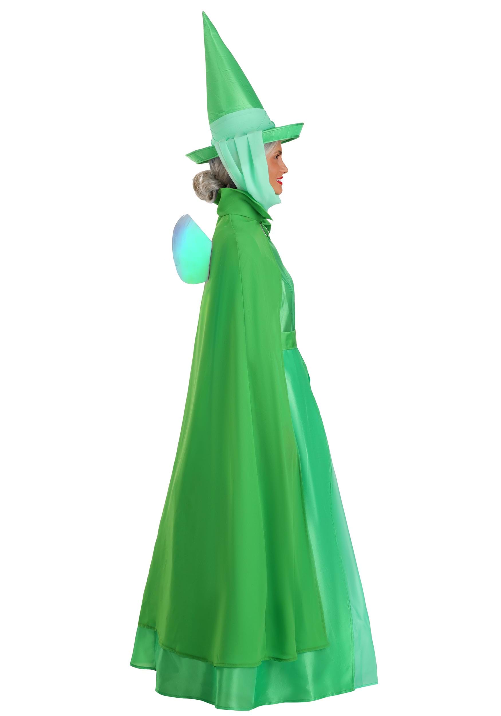 Women's Disney Sleeping Beauty Fauna Costume