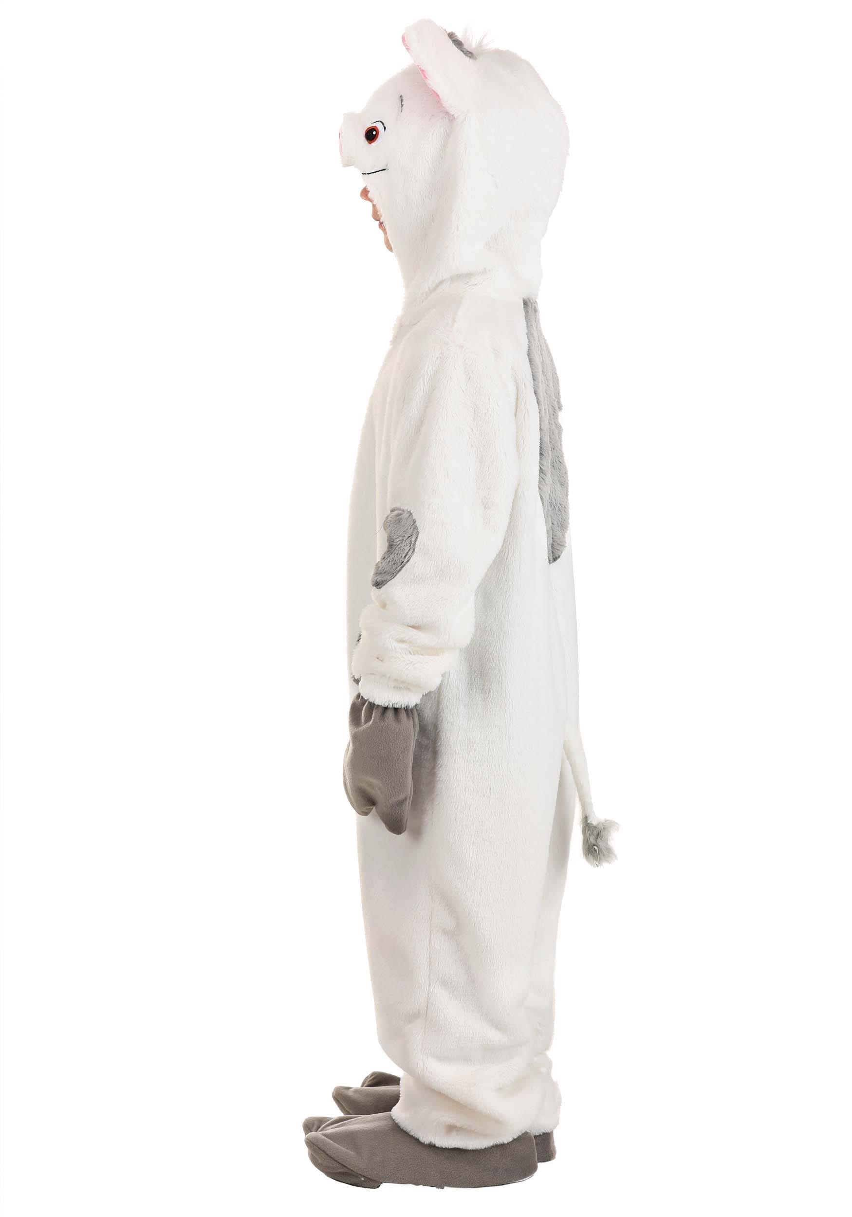 Pua Moana Costume for Kids