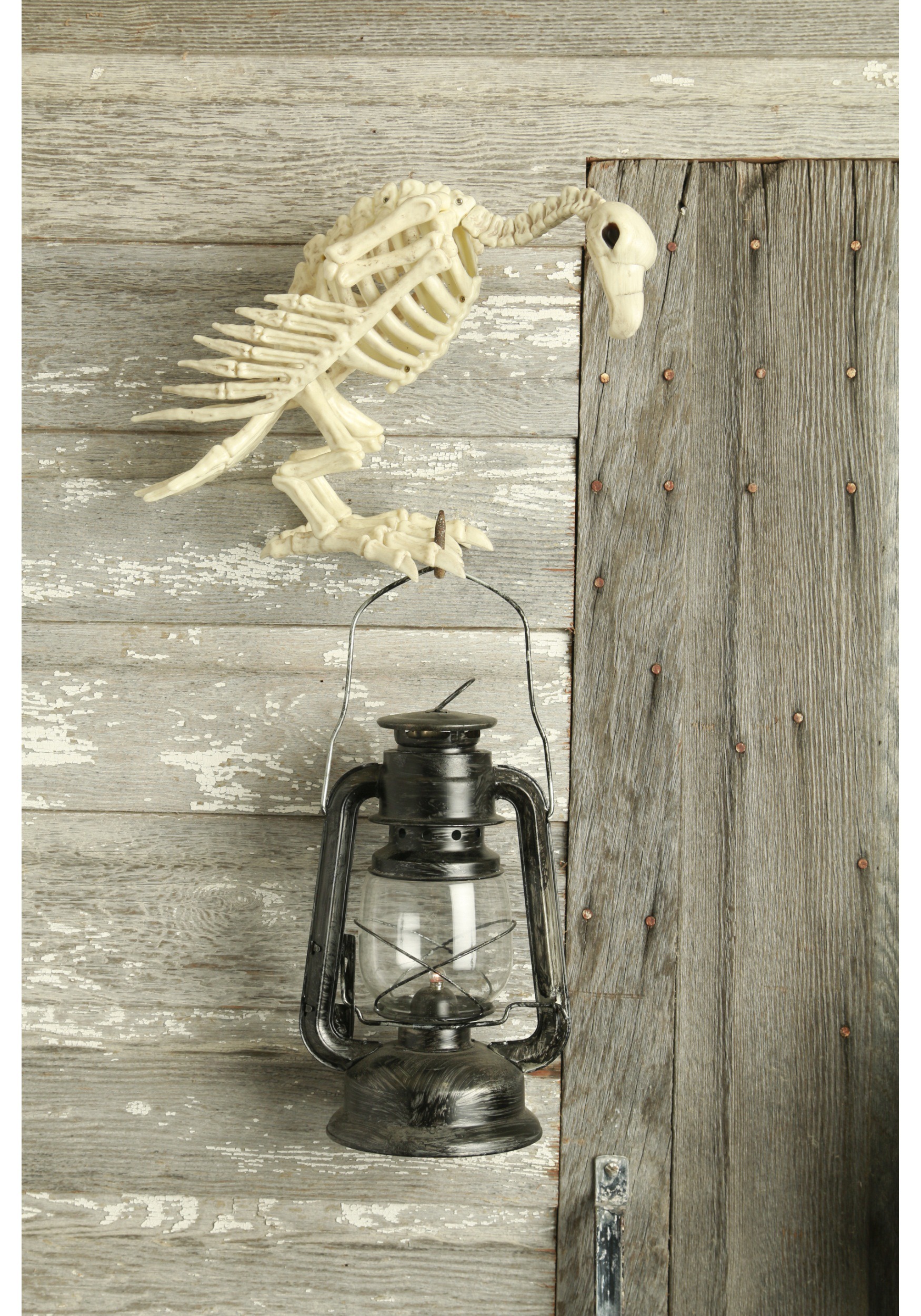 14-Inch Vulture Skeleton Prop Decoration