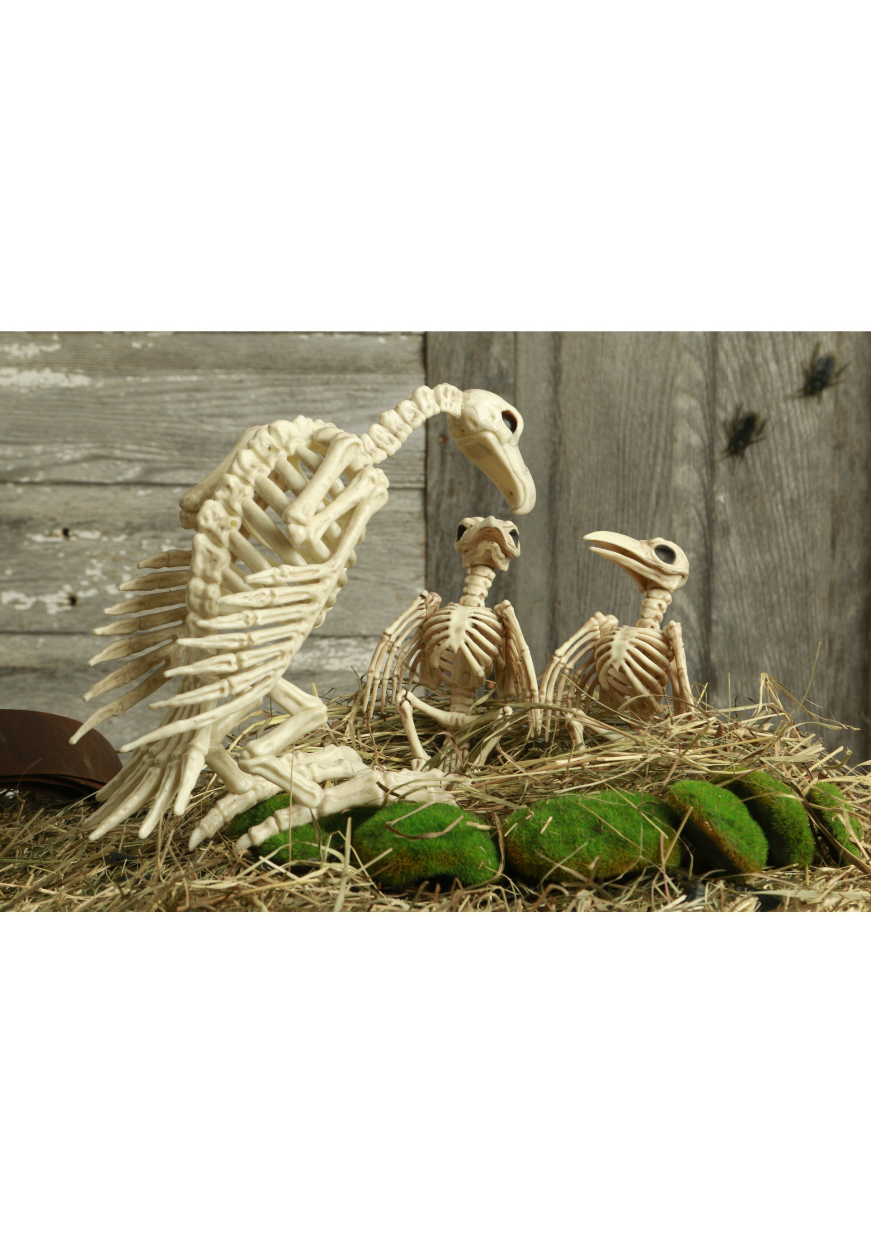14-Inch Vulture Skeleton Prop Decoration