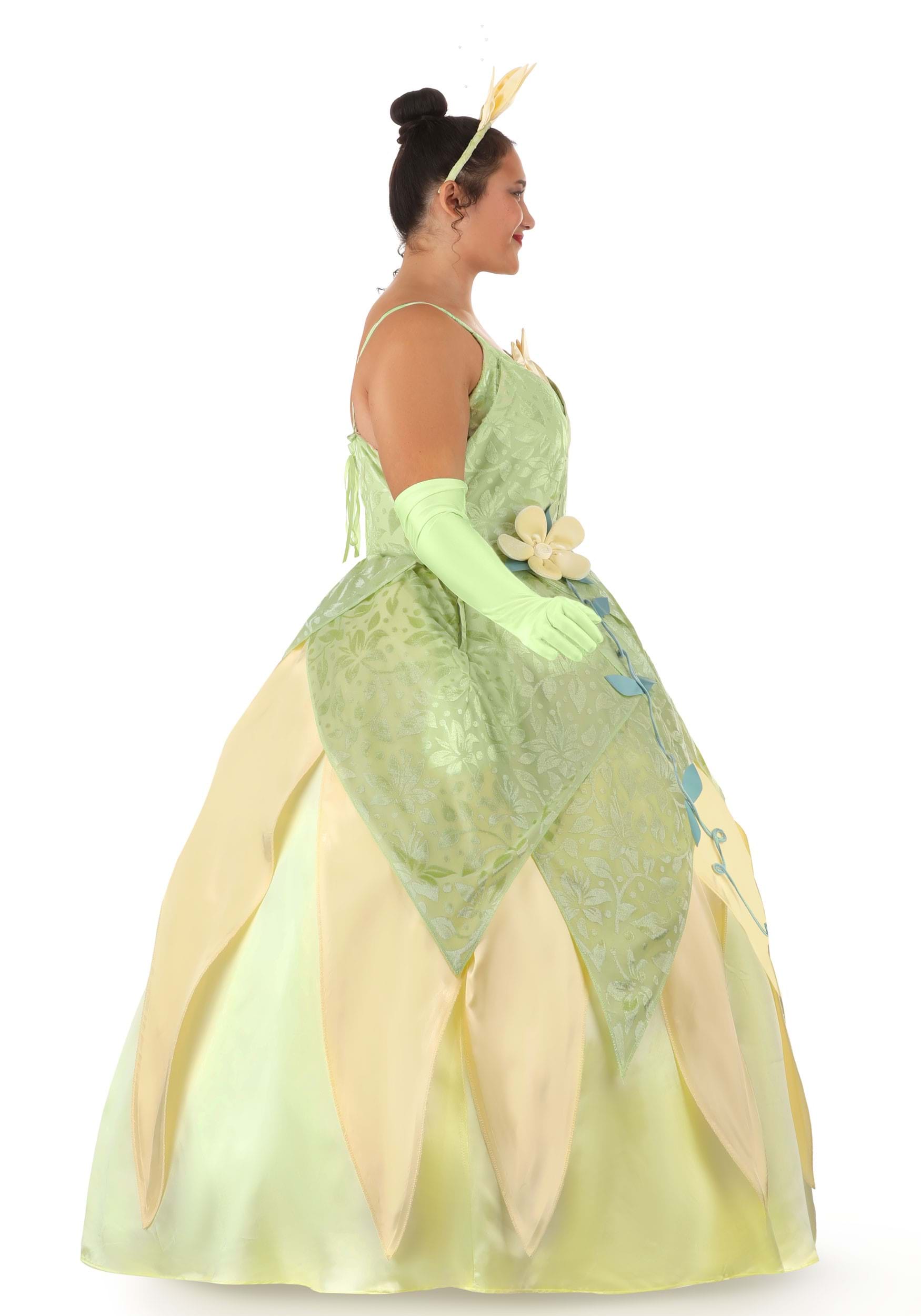 Women's Plus Size Deluxe The Princess and the Frog Tiana Disney Costume
