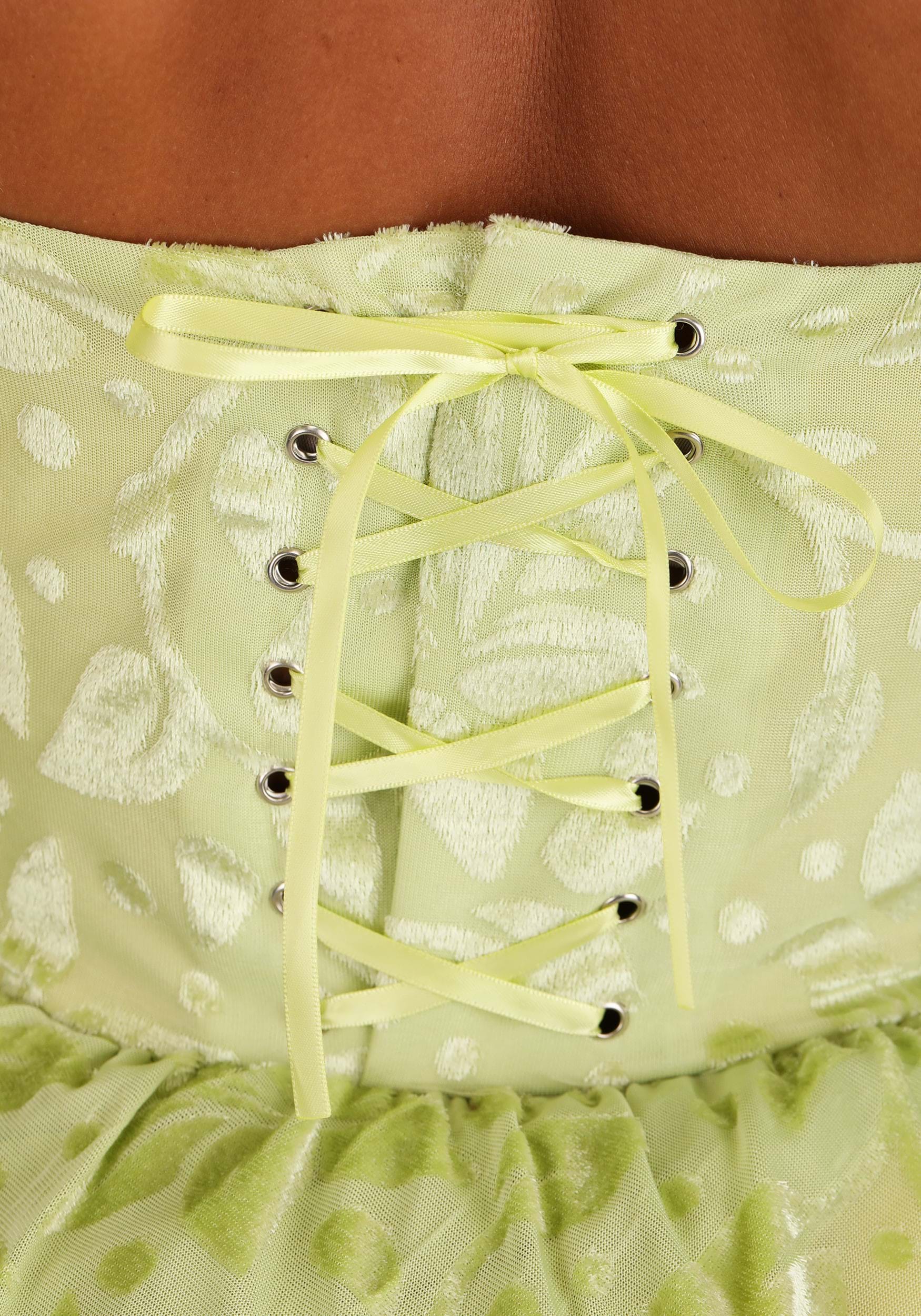 Women's Plus Size Deluxe The Princess and the Frog Tiana Disney Costume
