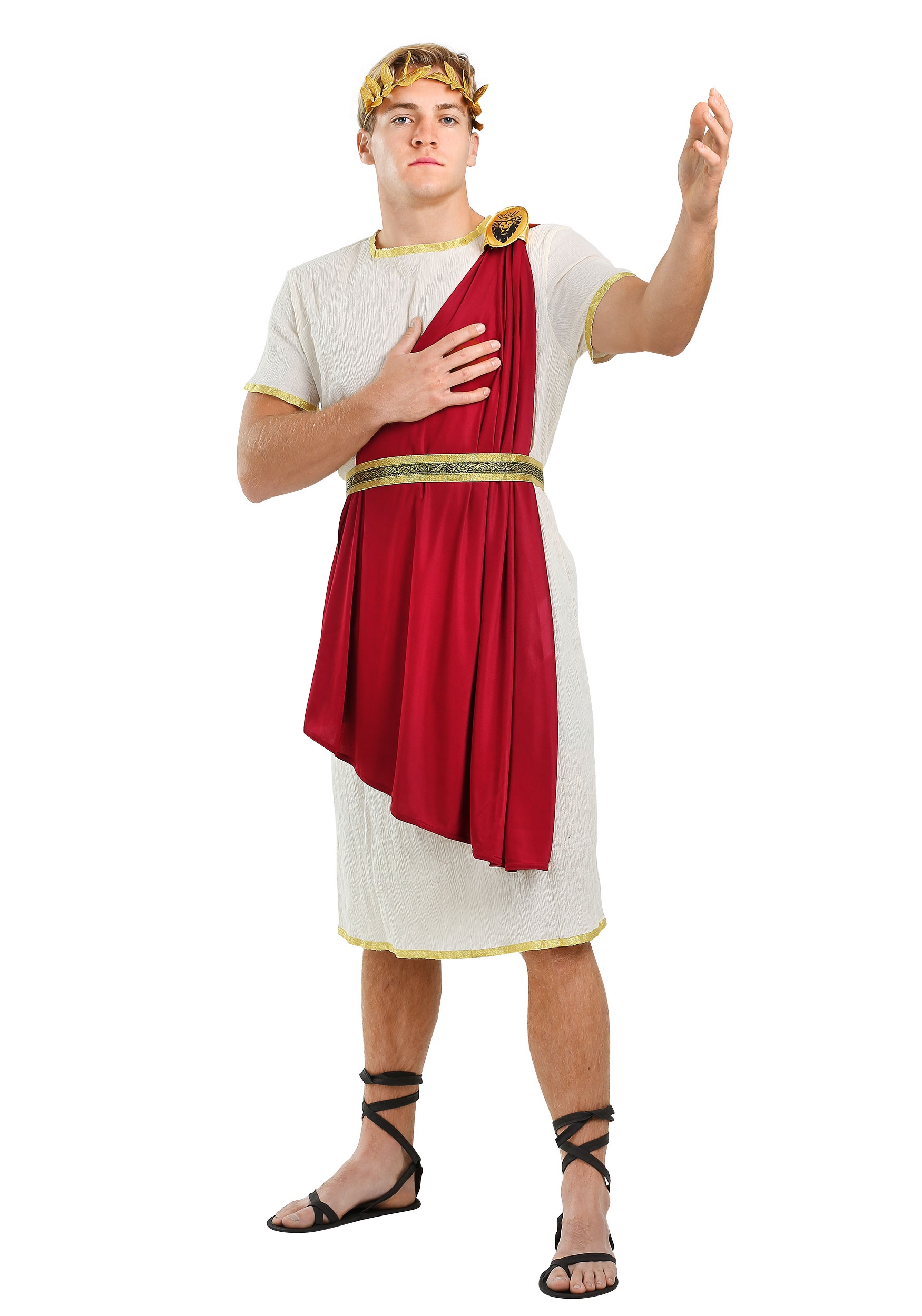 Plus Size Roman Senator Men's Costume