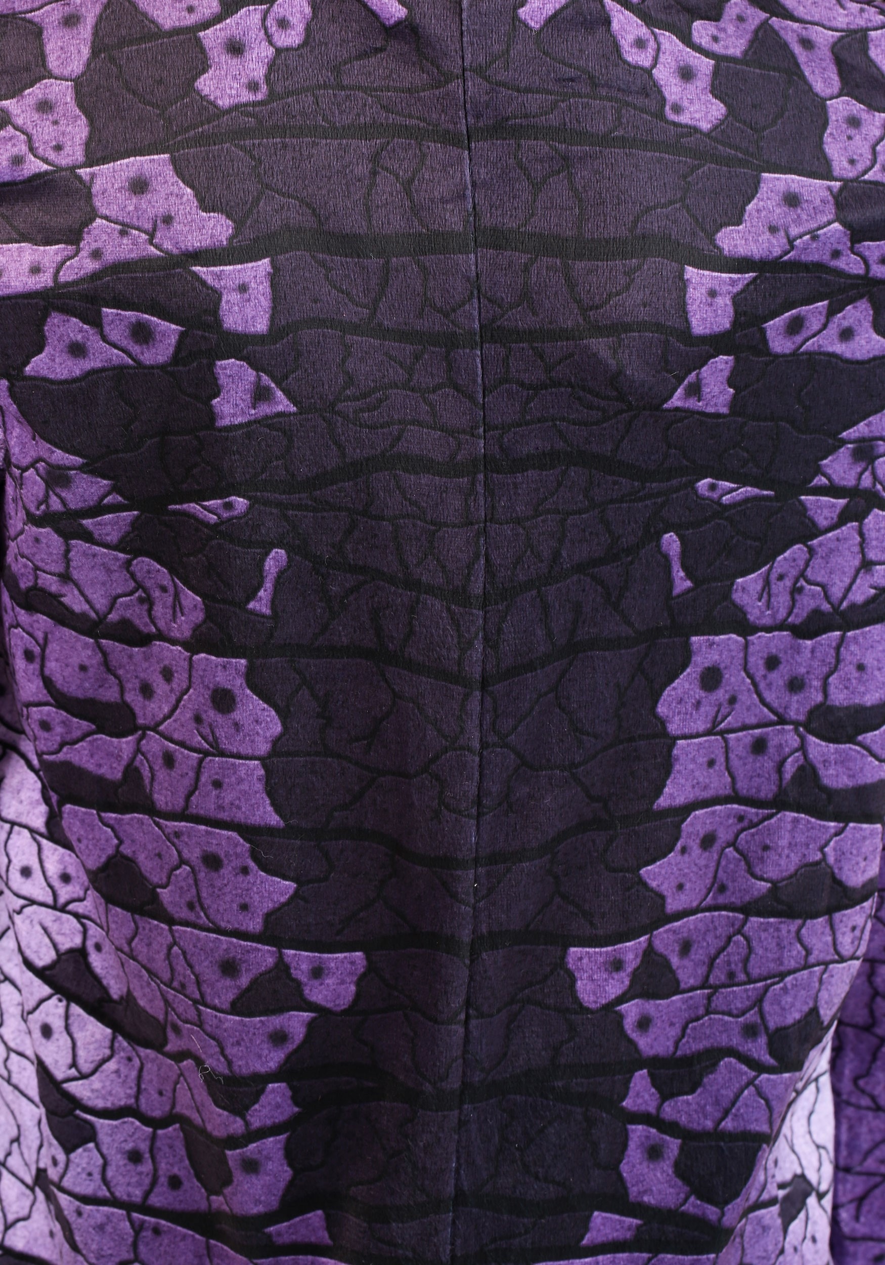 Ravenous Raptor Kid's Dinosaur Costume
