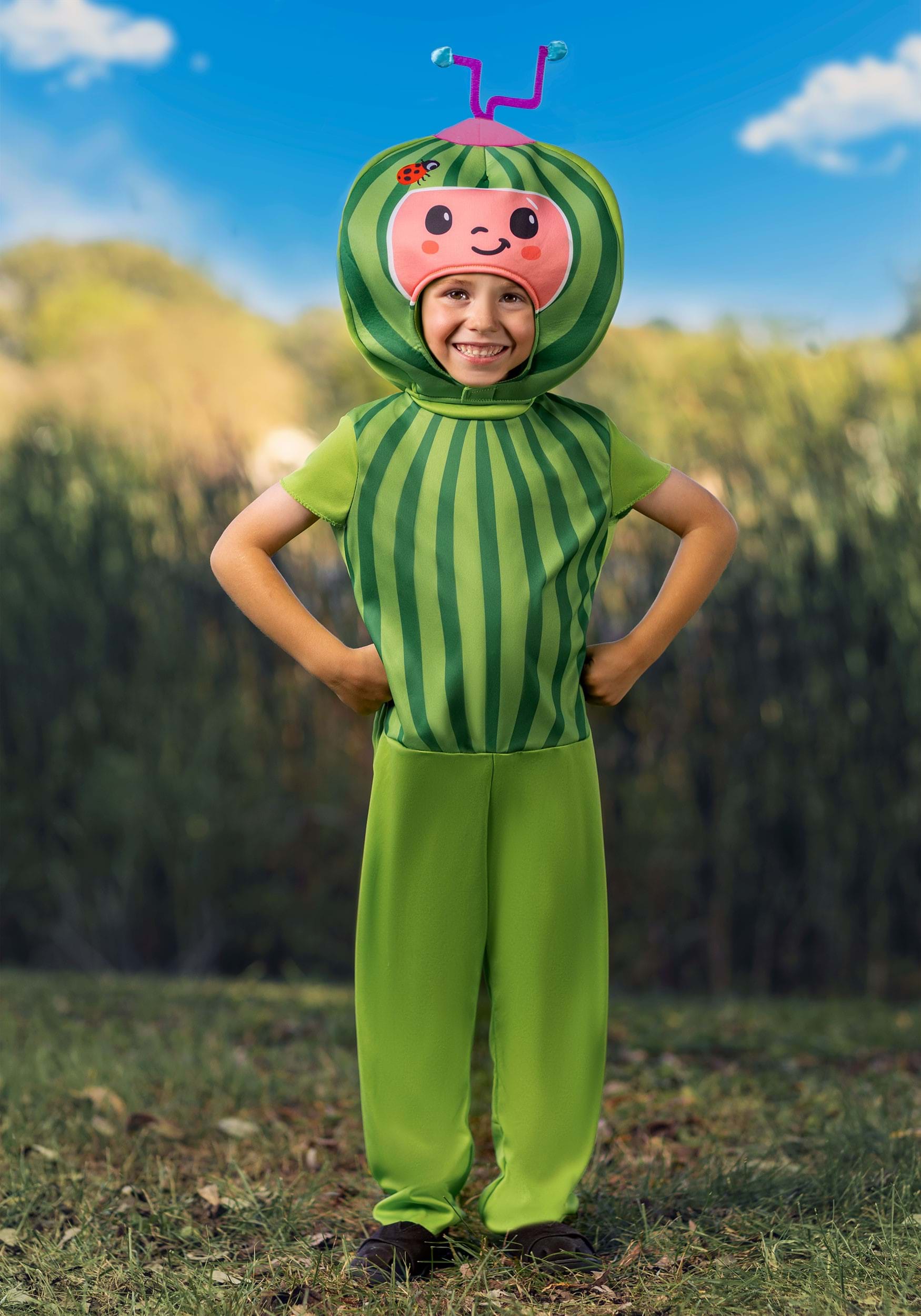 Baby/Toddler Cocomelon Melon Costume