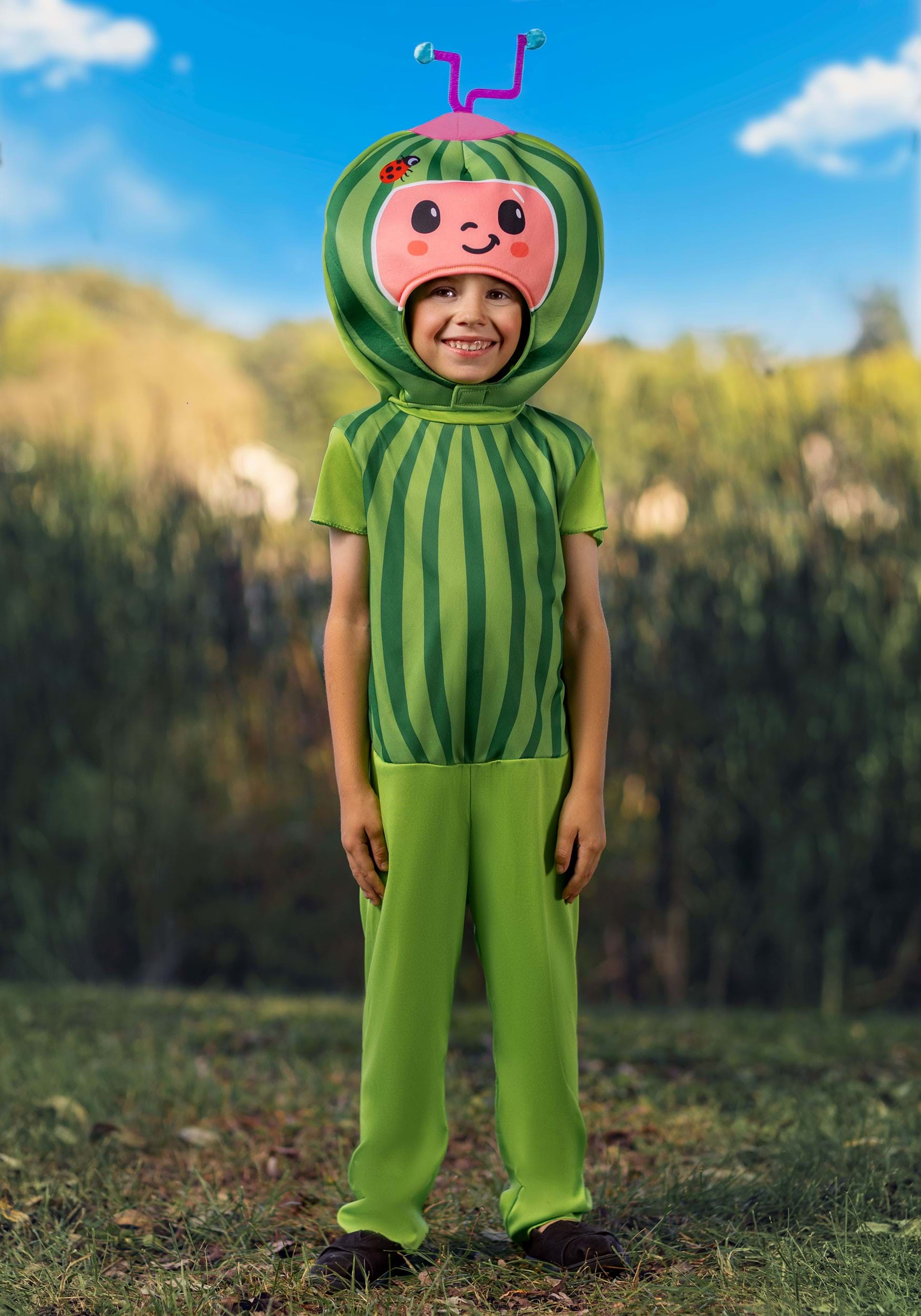Baby/Toddler Cocomelon Melon Costume