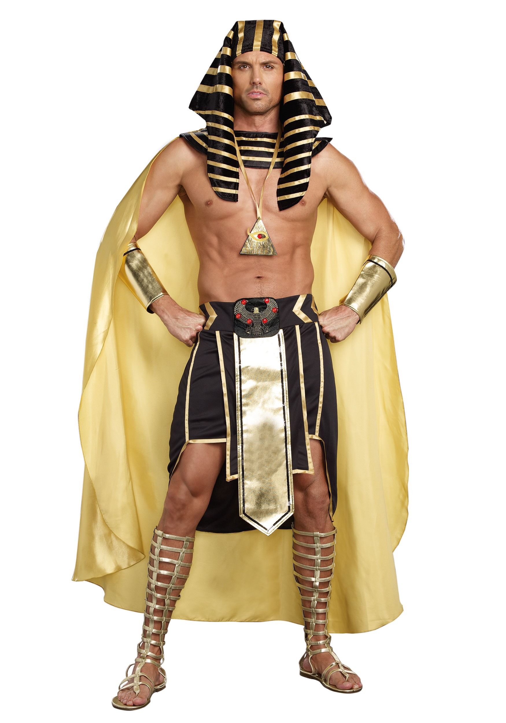 Men's Plus Size King of Egypt Costume