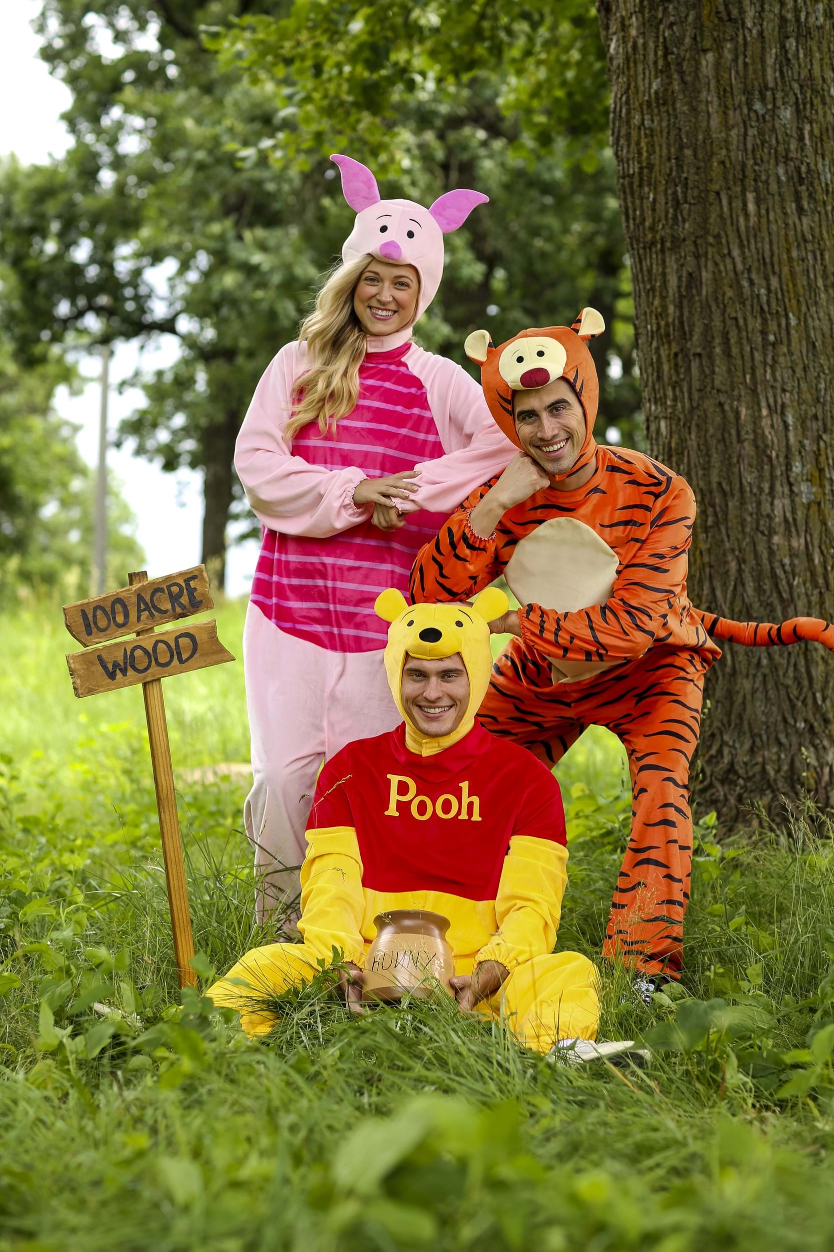 Winnie the Pooh Deluxe Plus Costume for Adults