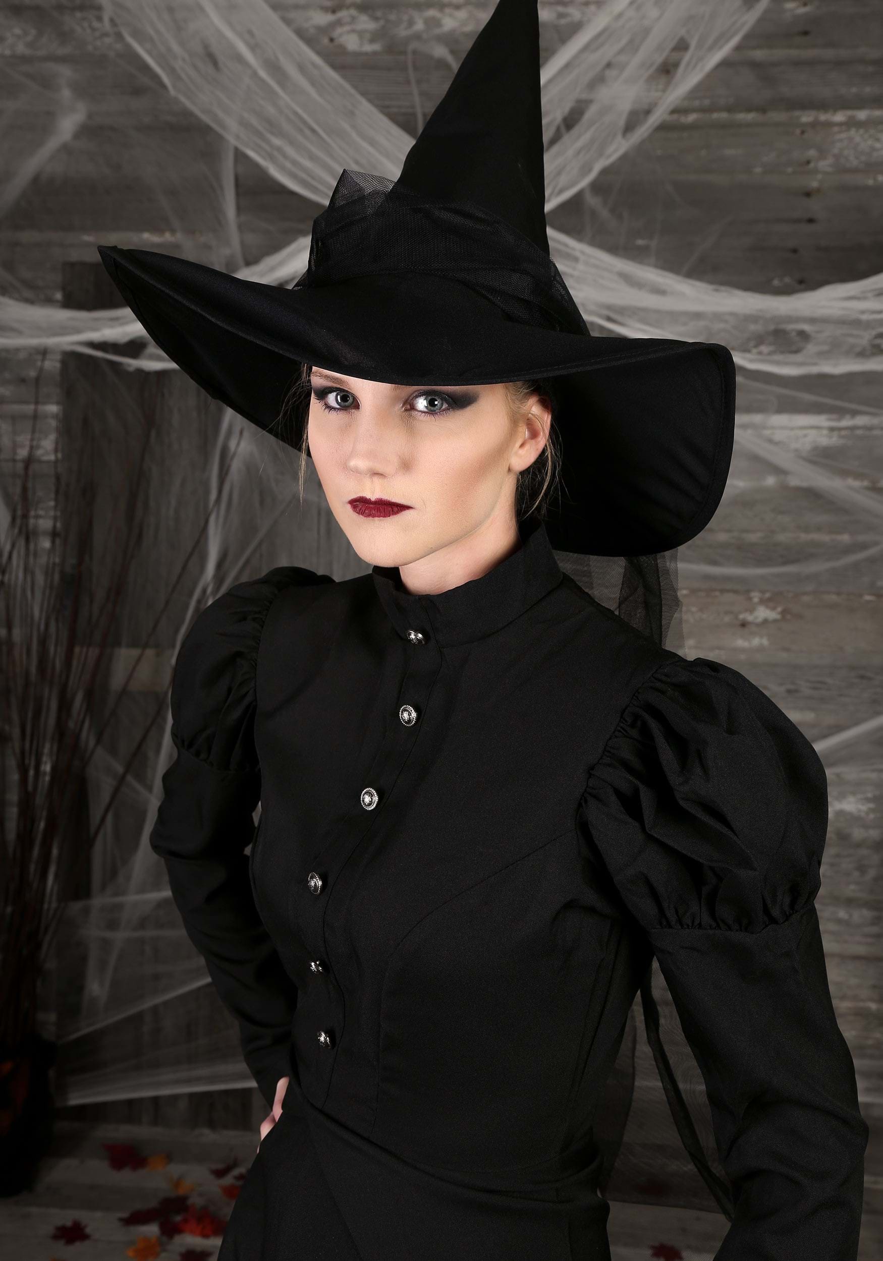 Deluxe Witch Women's Costume 17 Deluxe Witch Women's Costume