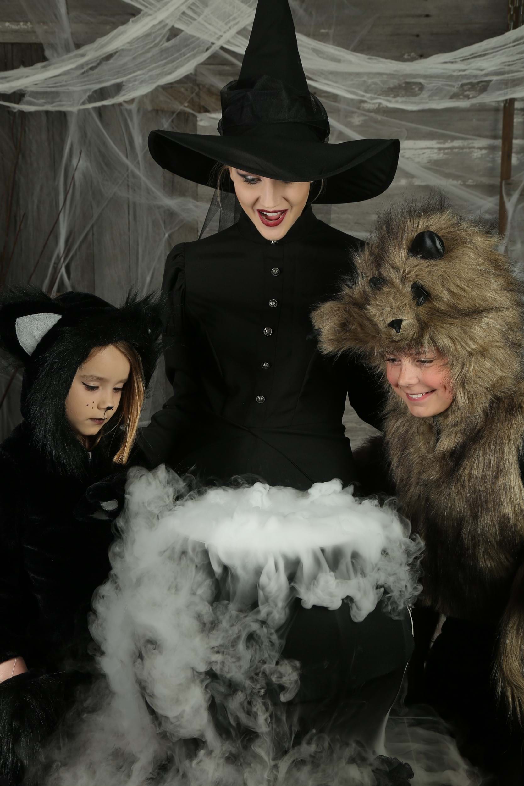 Deluxe Witch Women's Costume 18 Deluxe Witch Women's Costume