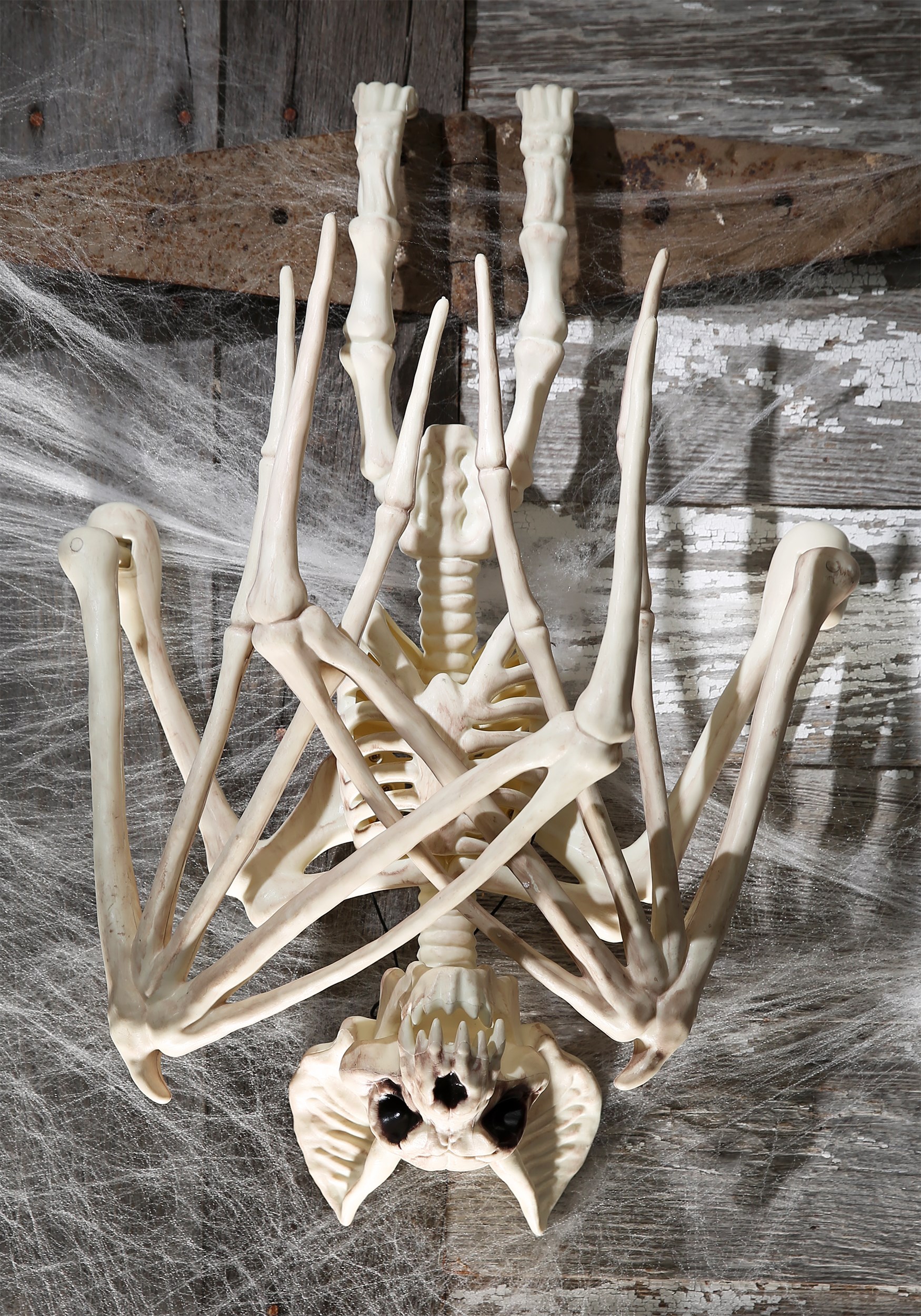 36-Inch Skeleton Nocturnal Bat Decoration