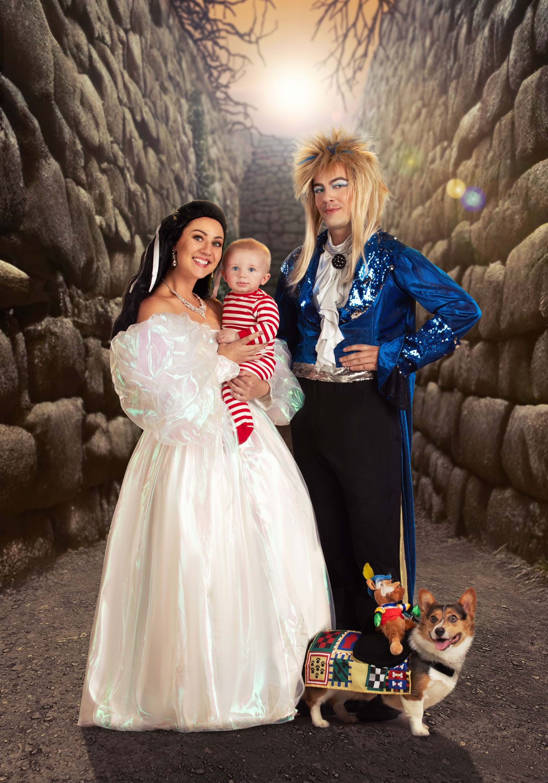 Labyrinth Jareth Wig for Adults 3 Labyrinth Jareth Wig for Adults