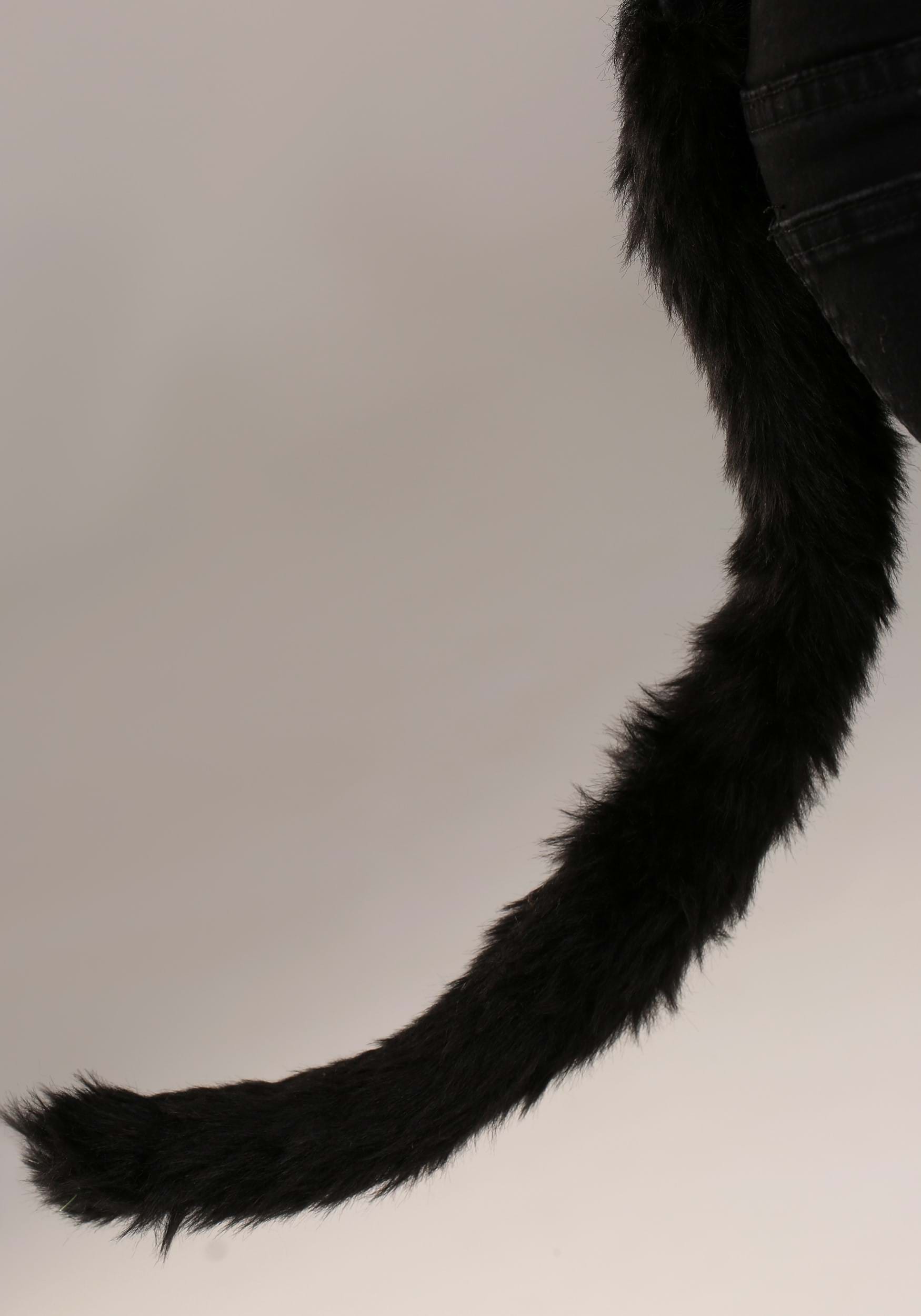 Cat Soft Headband & Tail Accessory Kit