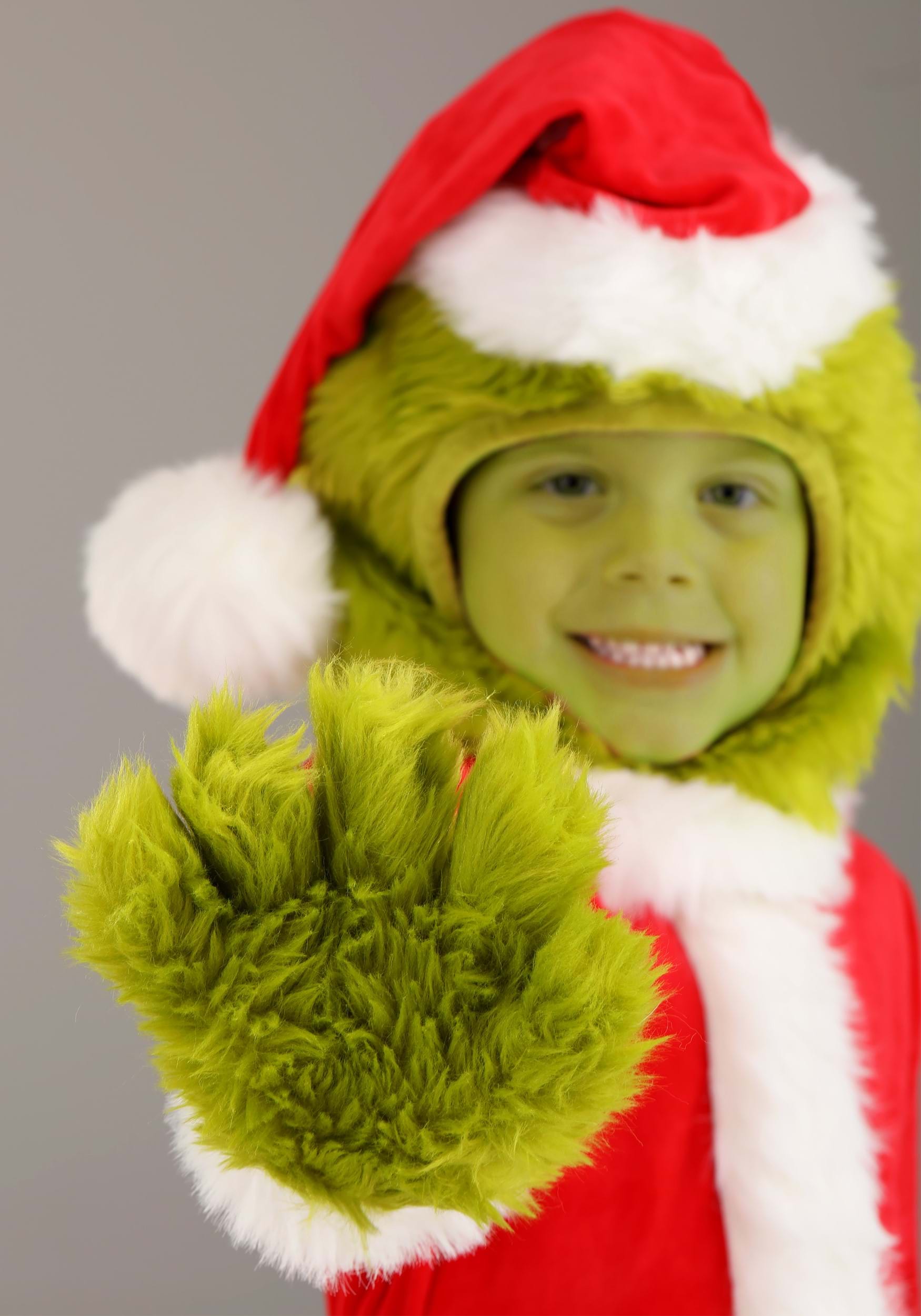 Toddler Grinch Santa Dr. Seuss Open Face Costume