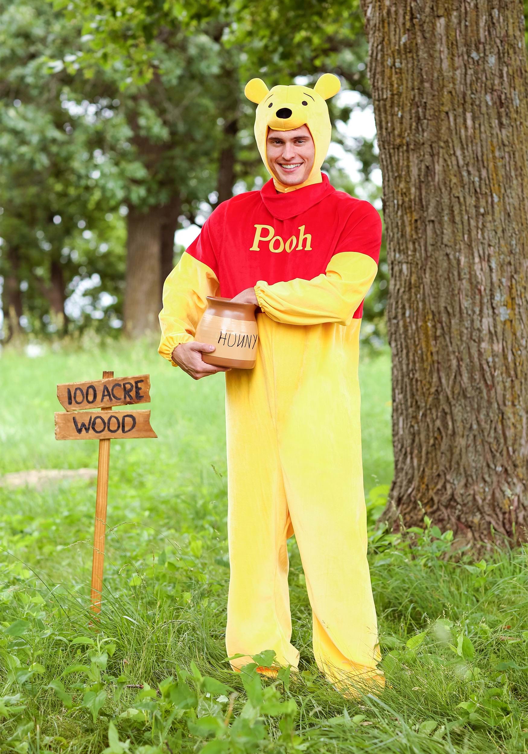Adult Winnie the Pooh Deluxe Costume