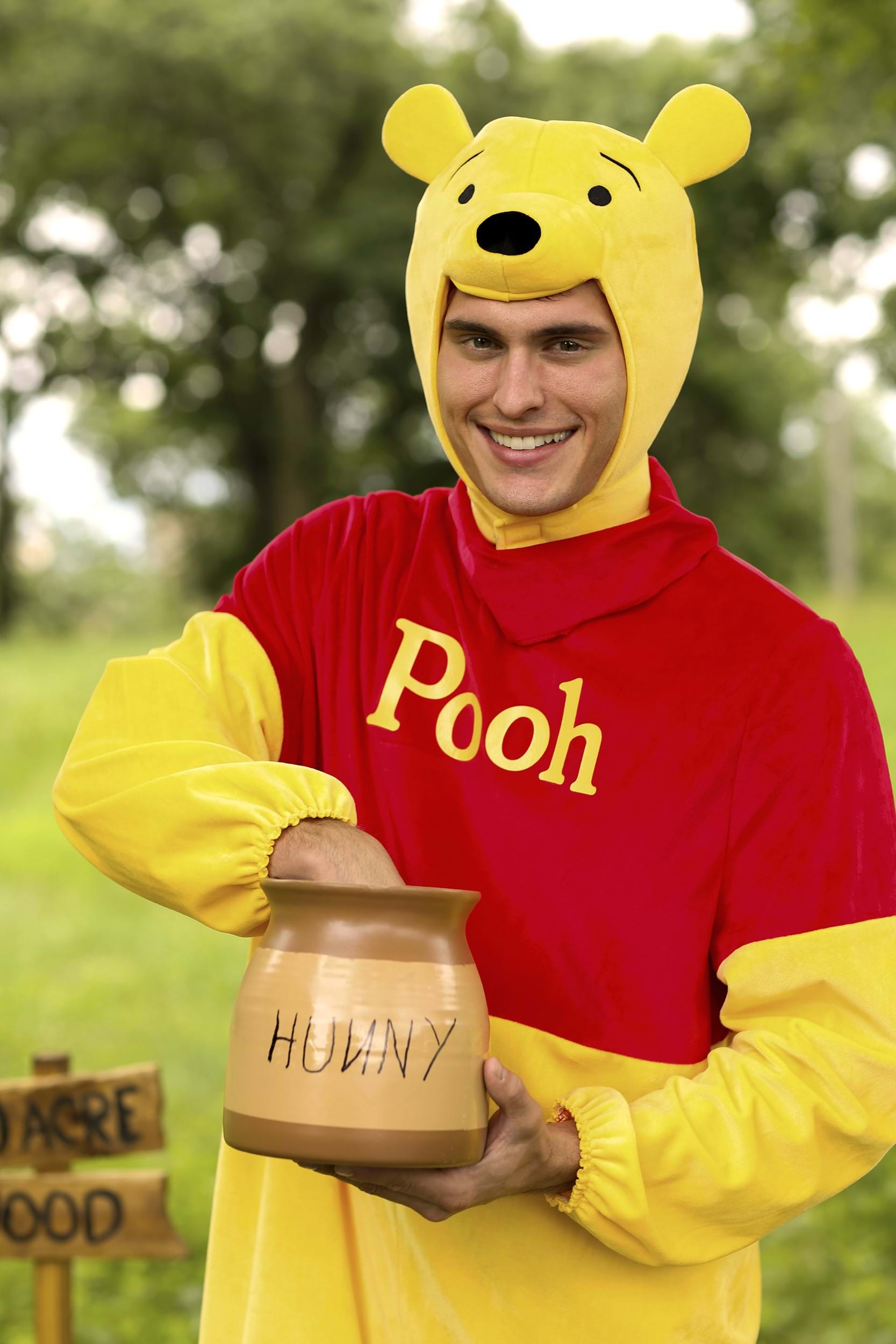 Adult Winnie the Pooh Deluxe Costume