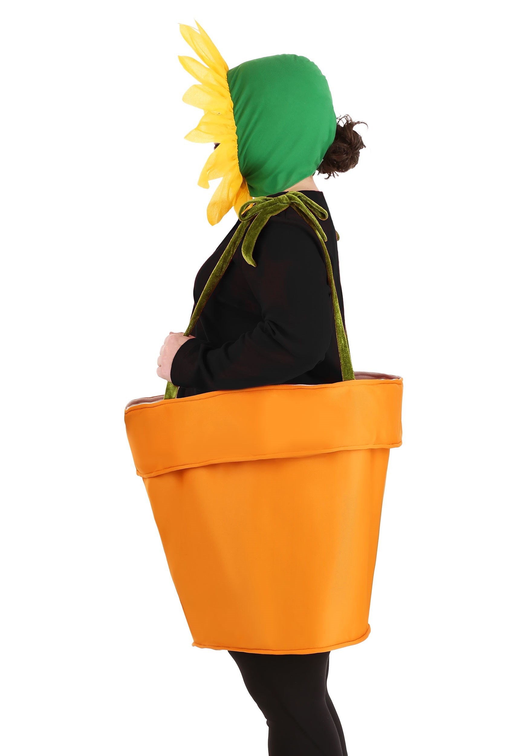 Plus Size Flower Pot Costume for Adults