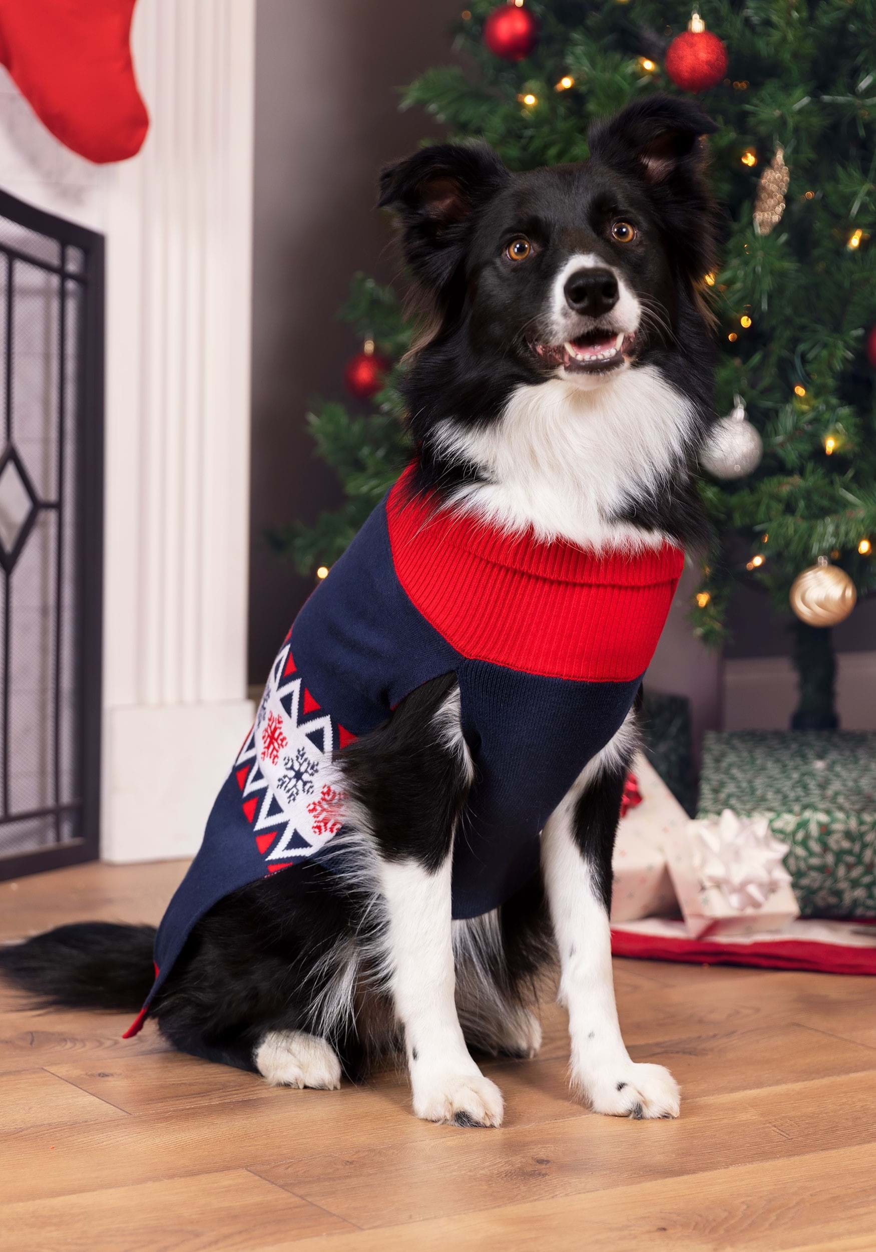 Vintage Santa Sweater for Dogs