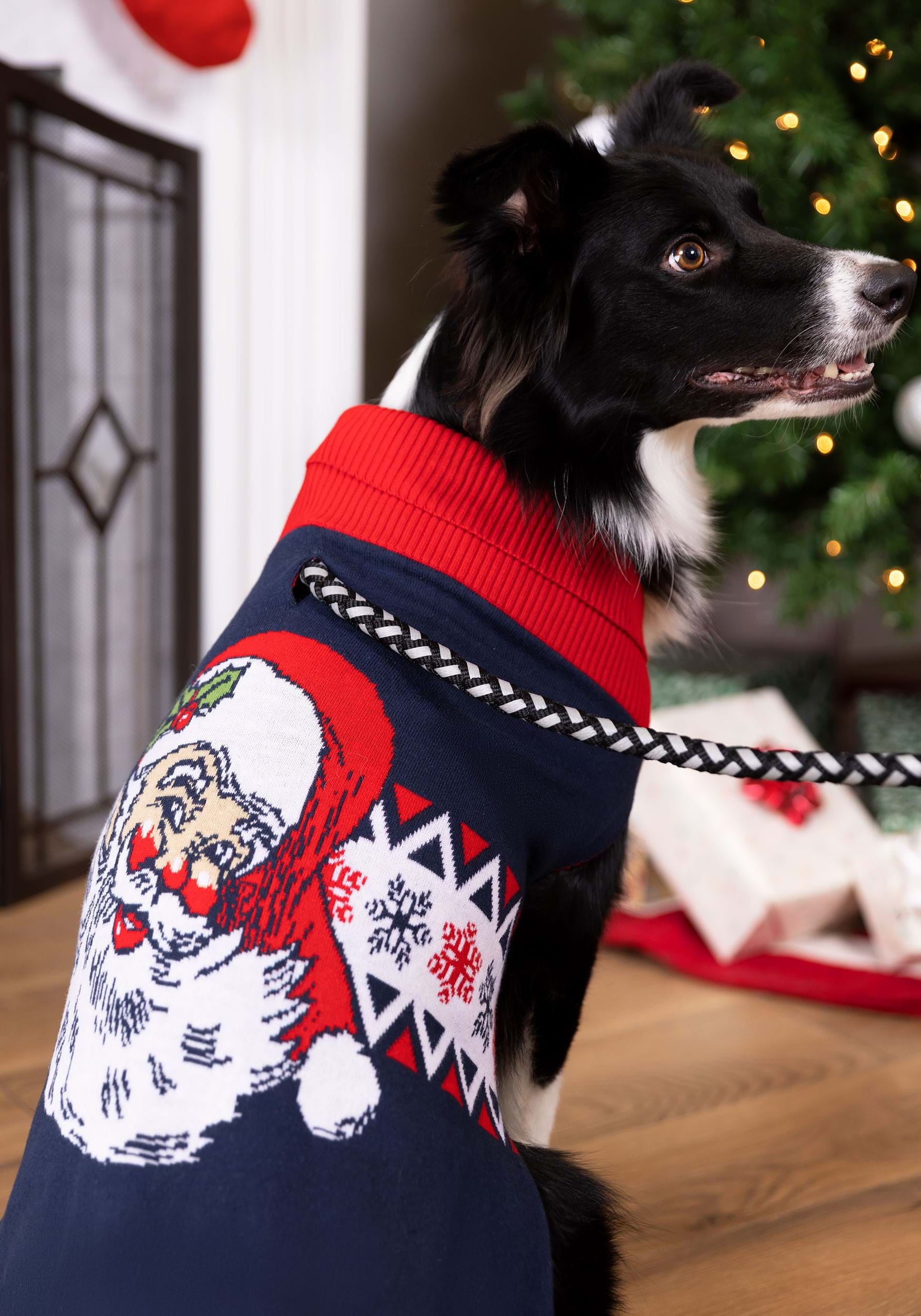 Vintage Santa Sweater for Dogs