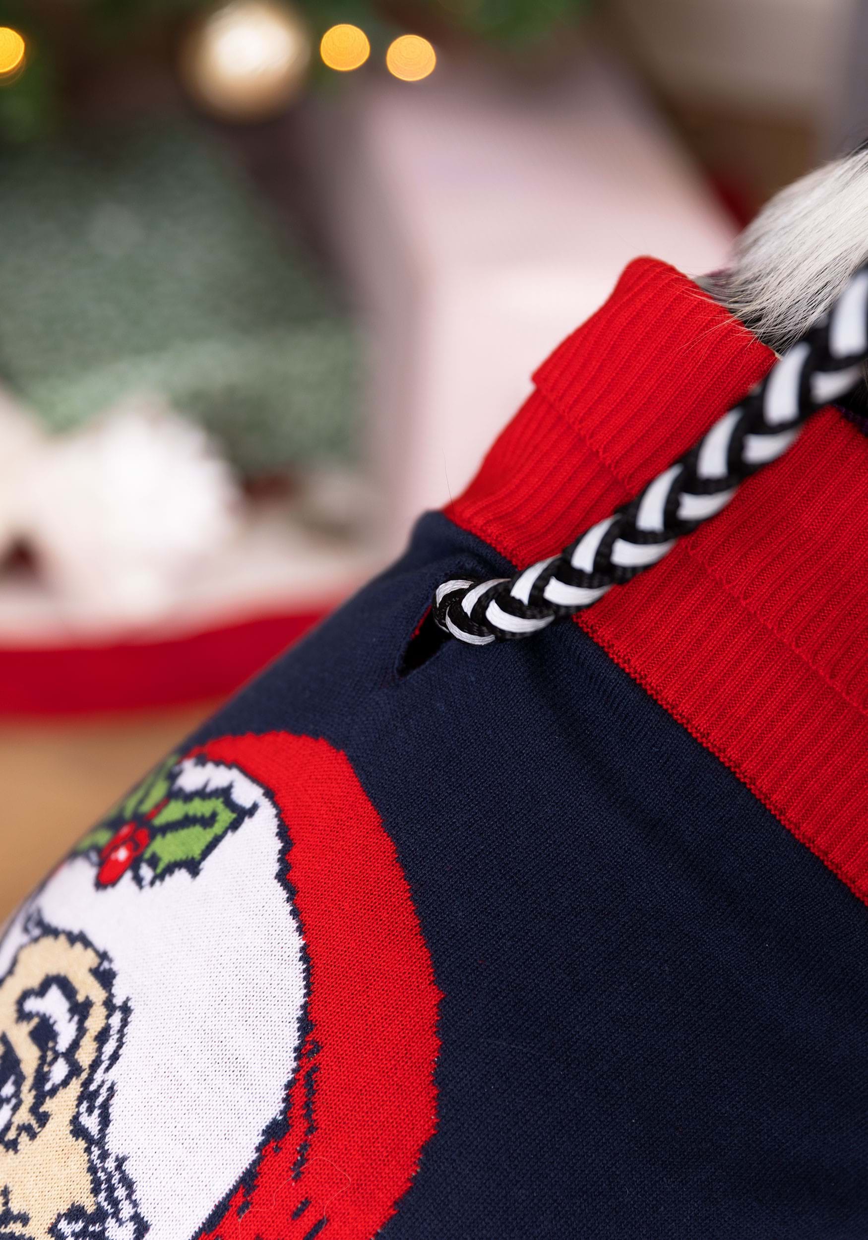 Vintage Santa Sweater for Dogs