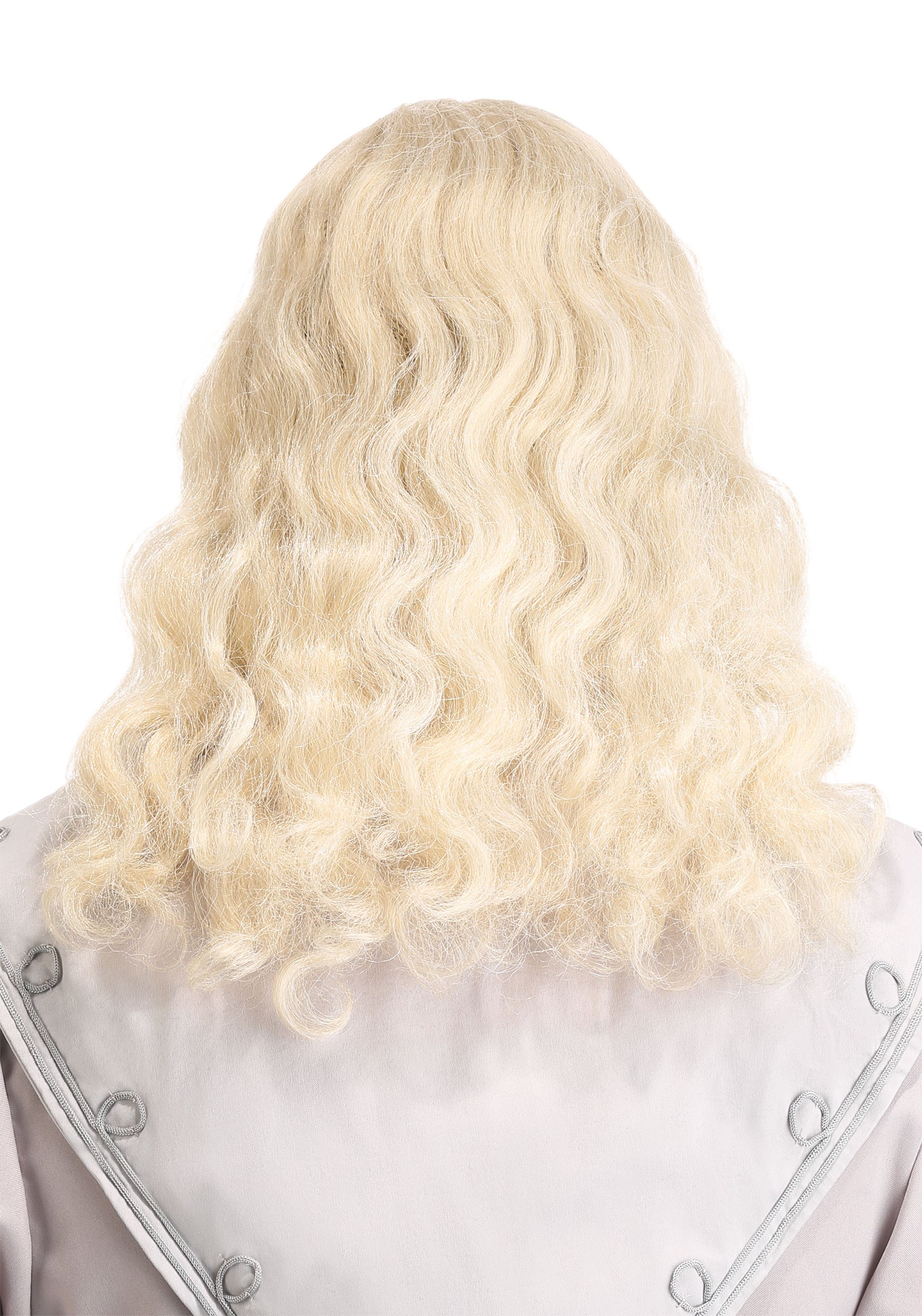 Headmaster Wizard Adult Costume Wig and Beard
