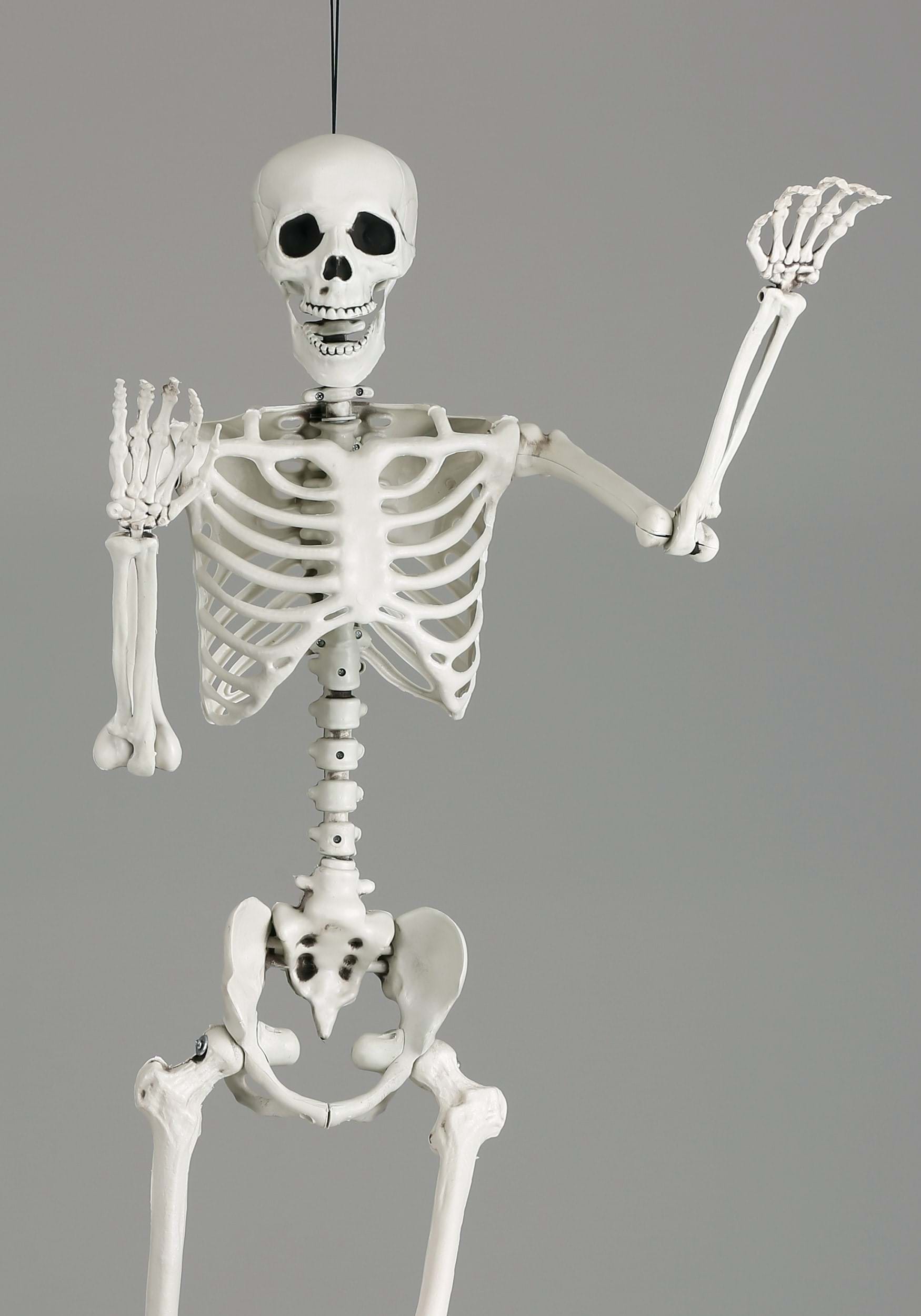 5FT Life Size Georgie the Skeleton Posable Decoration