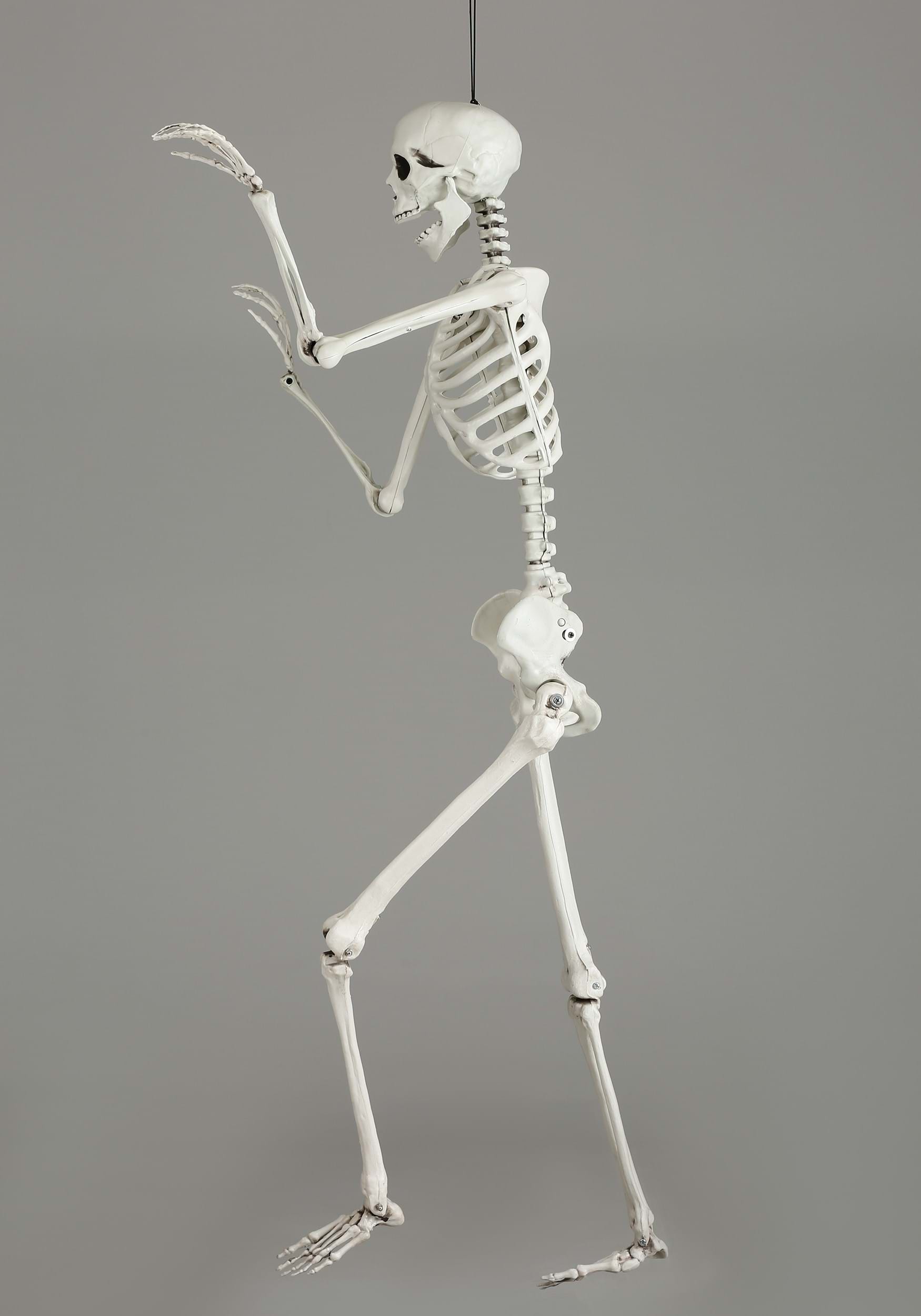 5FT Life Size Georgie the Skeleton Posable Decoration
