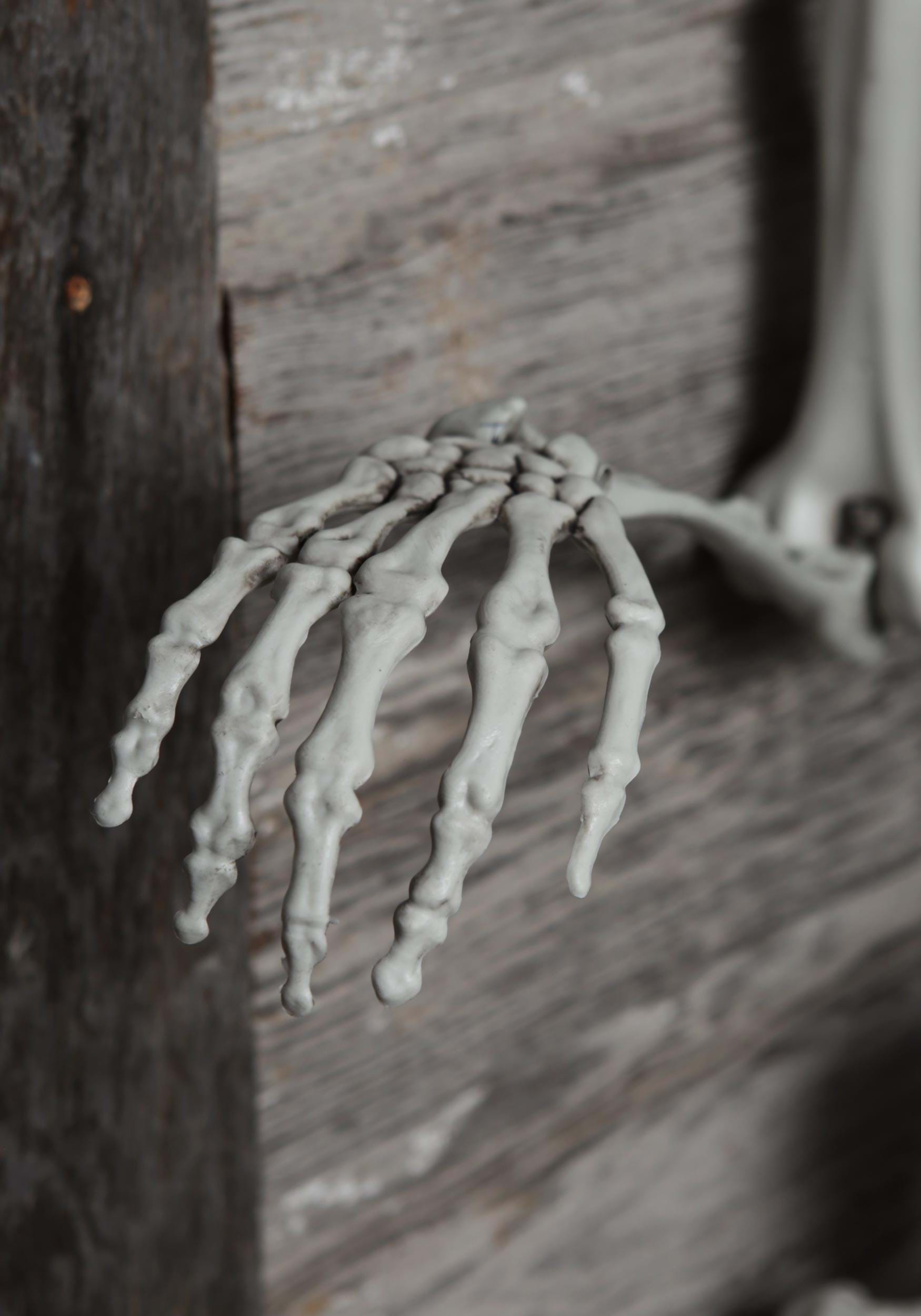 5FT Life Size Georgie the Skeleton Posable Decoration
