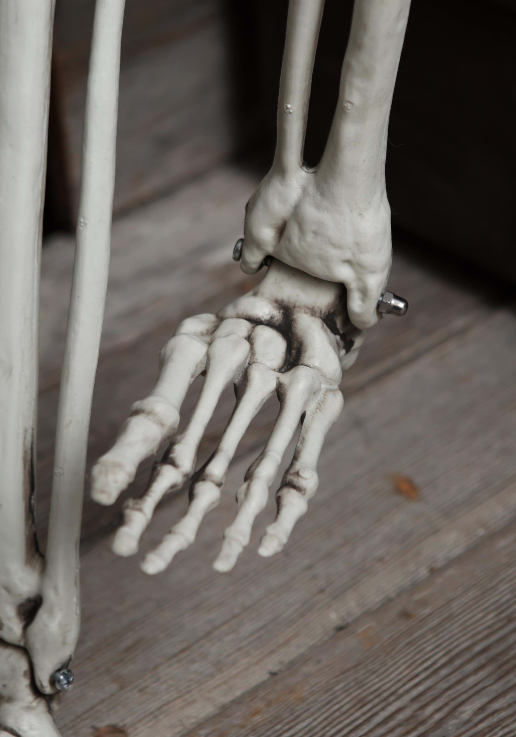 5FT Life Size Georgie the Skeleton Posable Decoration