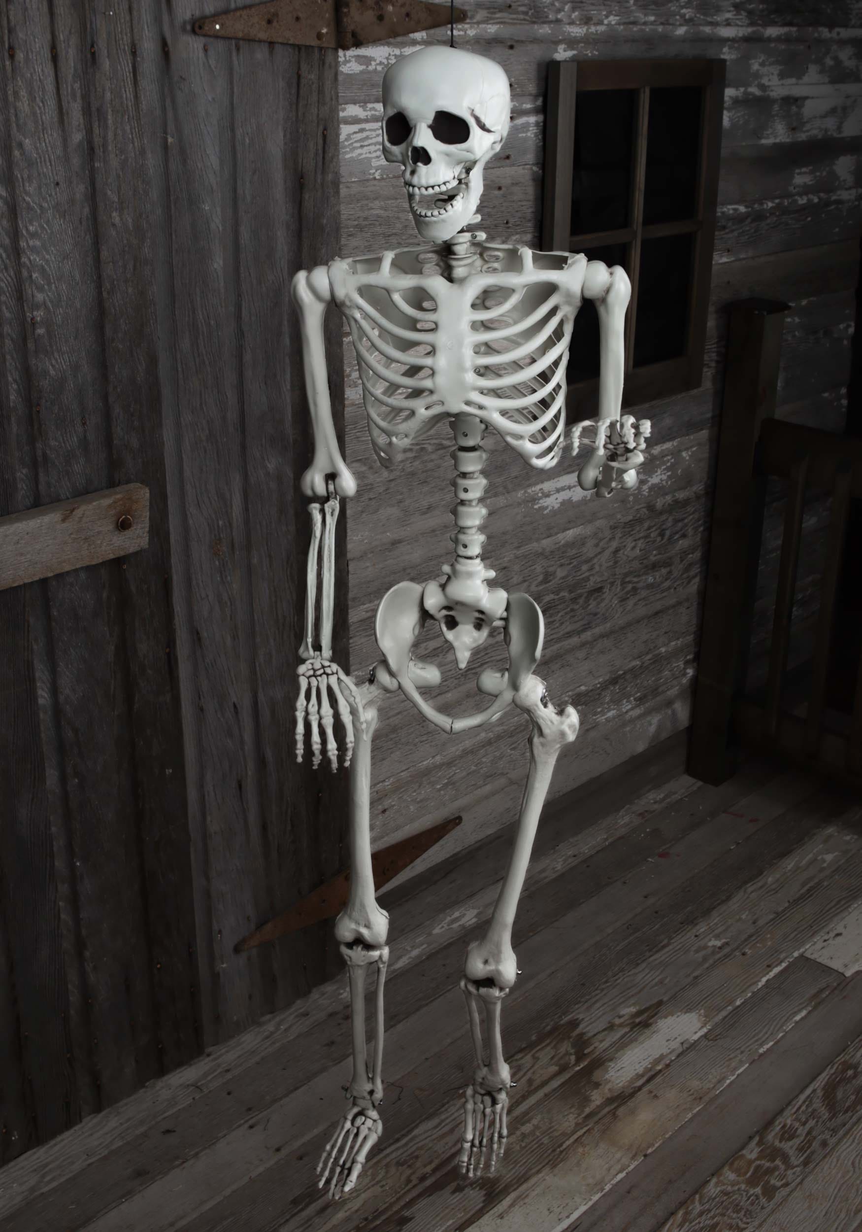 5FT Life Size Georgie the Skeleton Posable Decoration