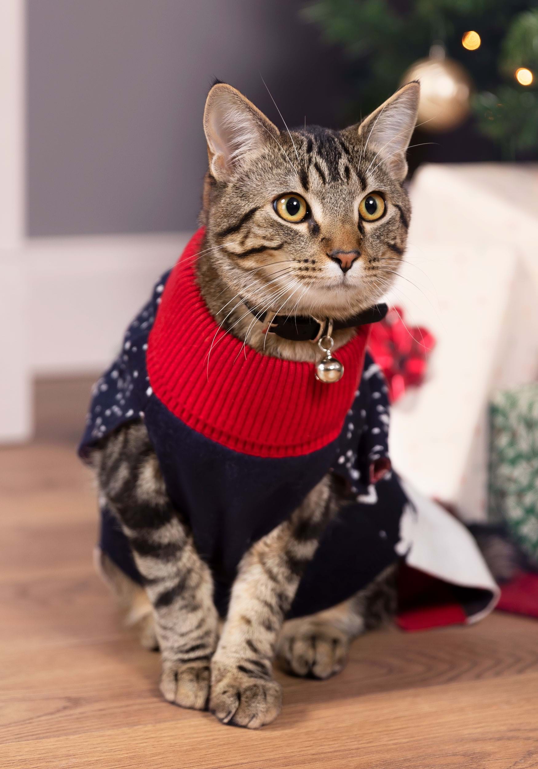 Pet Santa and Reindeer Sweater 3 Pet Santa and Reindeer Sweater